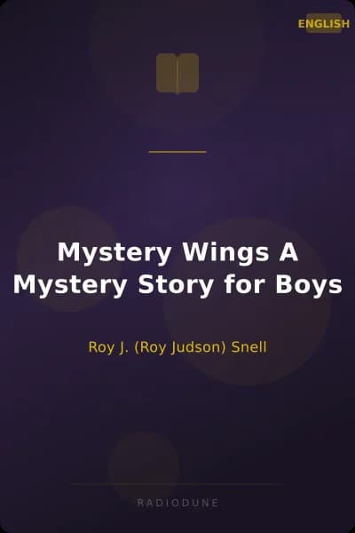 Mystery Wings A Mystery Story for Boys