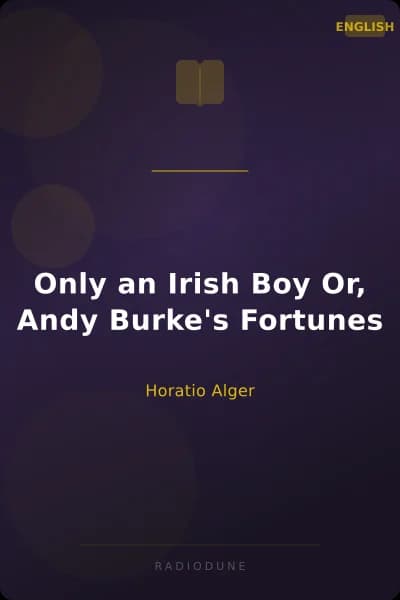 Only an Irish Boy Or, Andy Burke's Fortunes