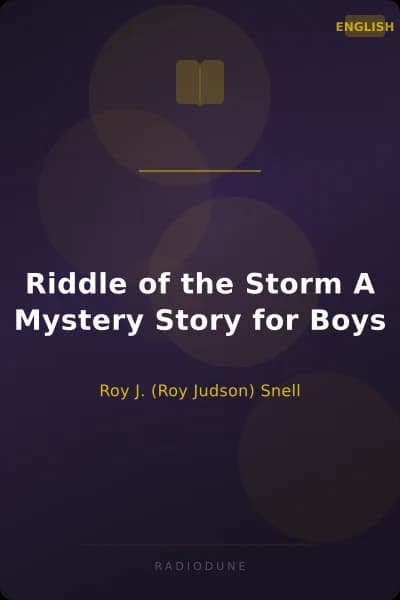 Riddle of the Storm A Mystery Story for Boys