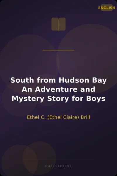 South from Hudson Bay An Adventure and Mystery Story for Boys