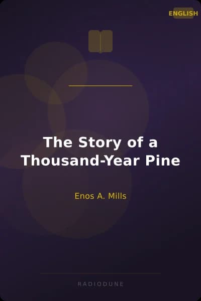The Story of a Thousand-Year Pine