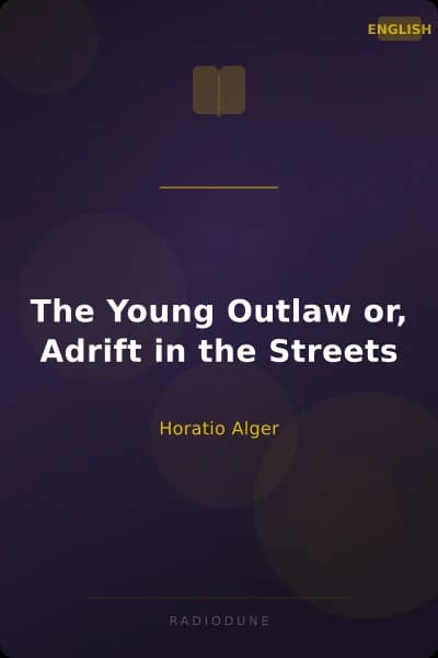 The Young Outlaw or, Adrift in the Streets