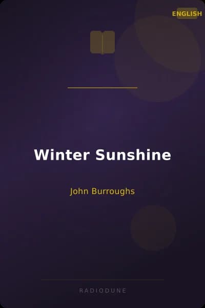 Winter Sunshine