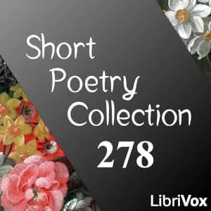 Short Poetry Collection 278