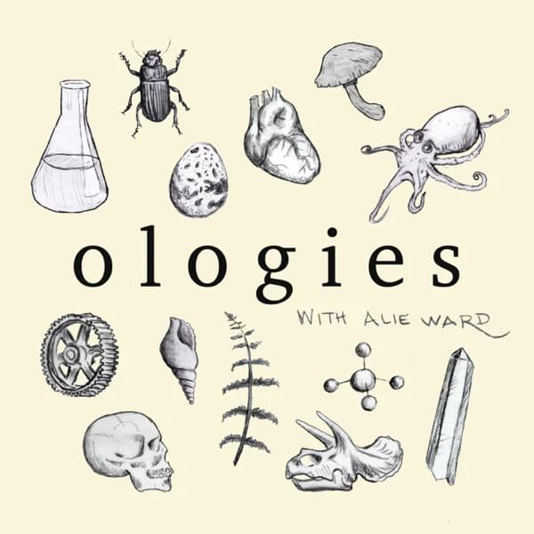 Hyaenidology (HYENAS) with Christine Wilkinson