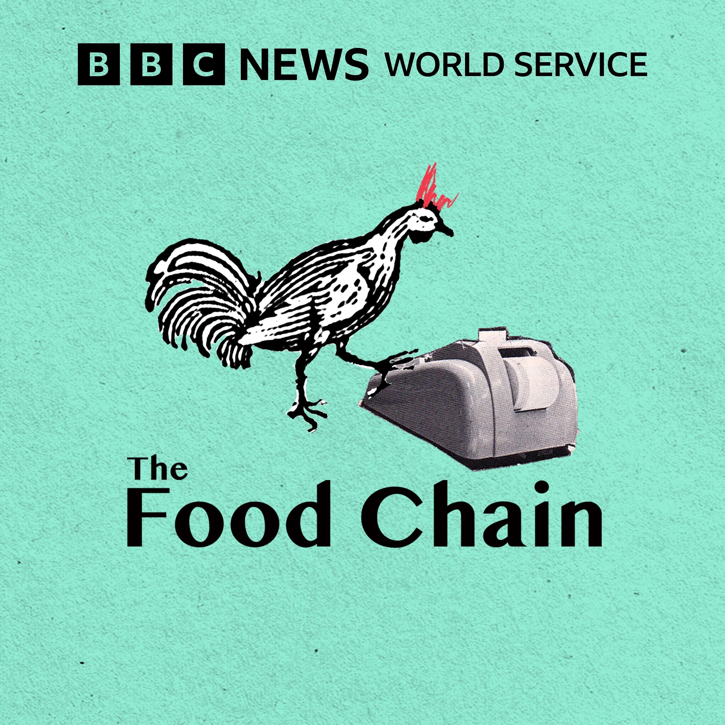 Ep 1389 Call-of-the-Wild Meat