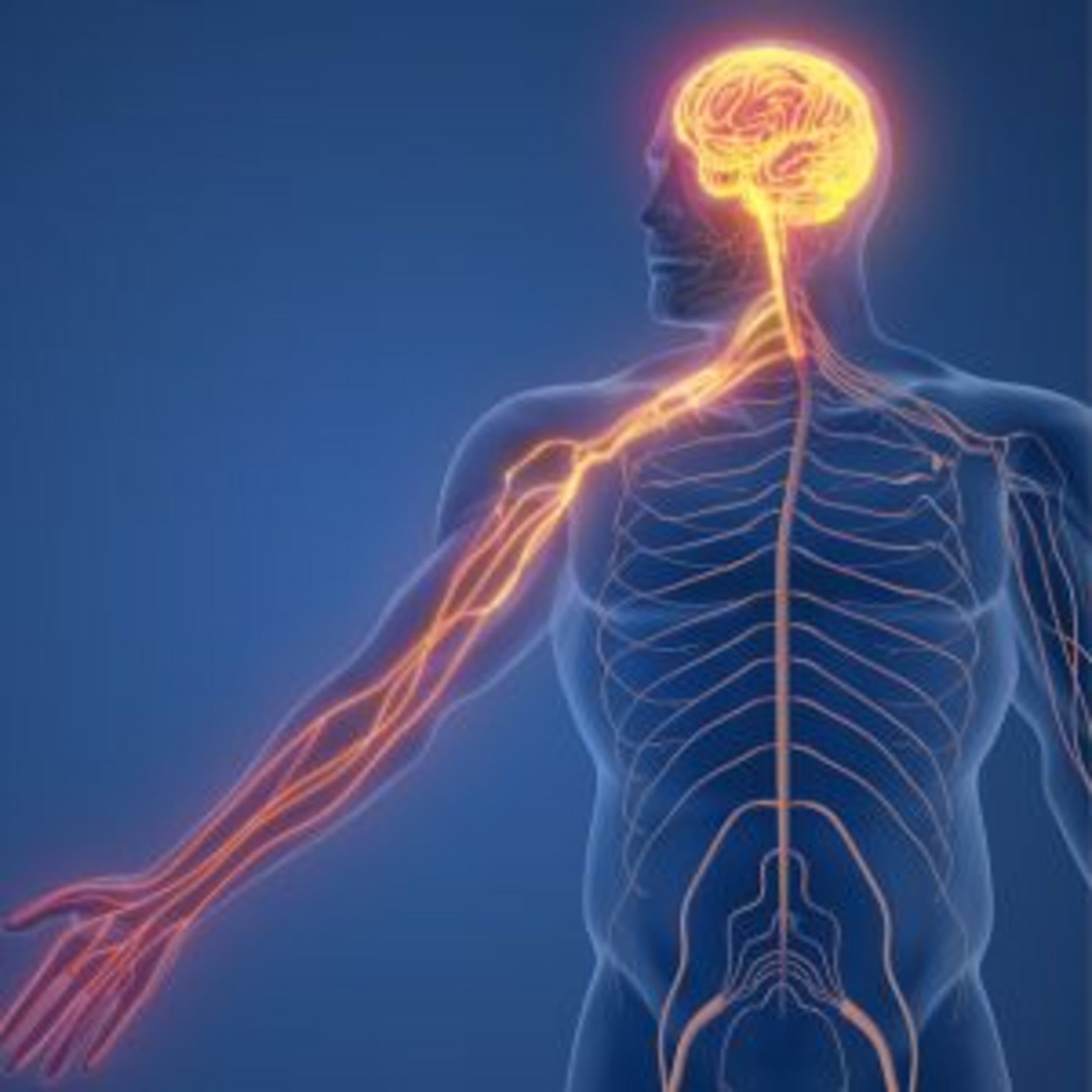 ماذا نعرف عن الاضطرابات العصبية التي تتسبب في وفاة 11 مليون شخص كل عام؟