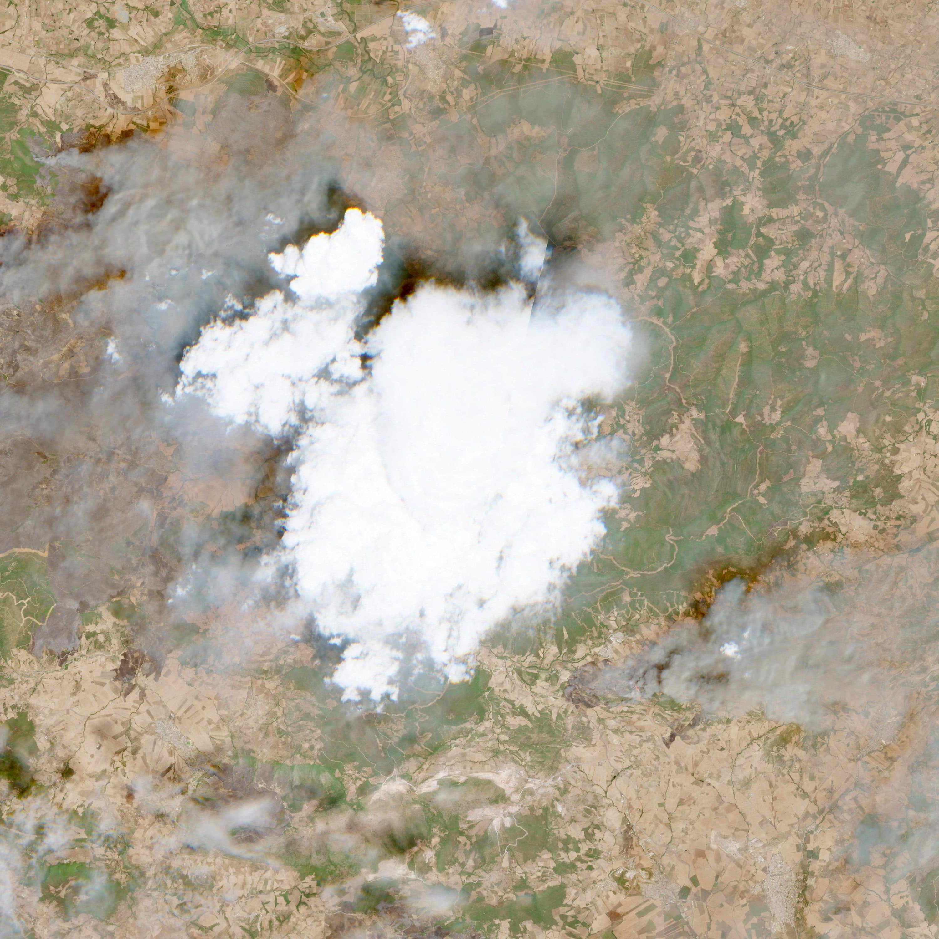 Deadly wildfires ravage Algeria