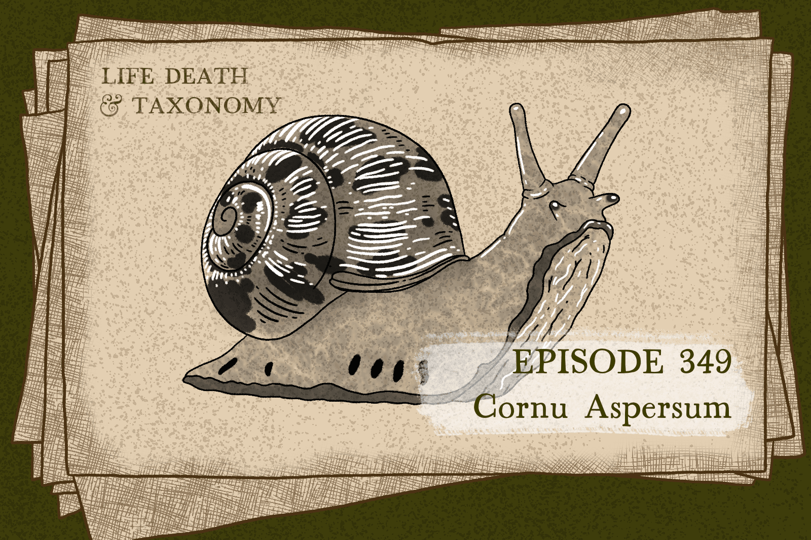 Episode 350 – Garden Snail: Silly Sleeper