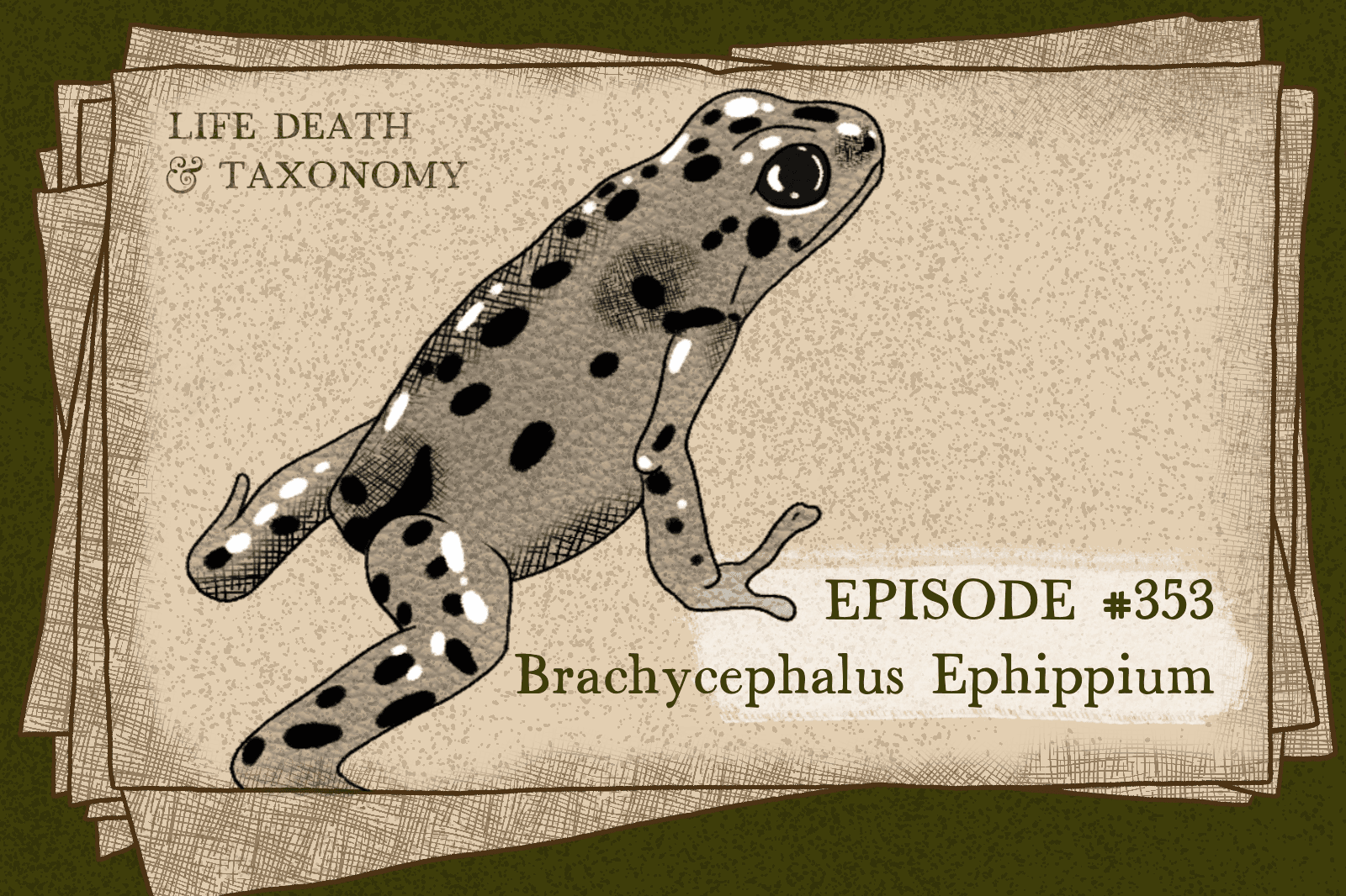Episode 354 – Pumpkin Toadlet – Thankful for Poison