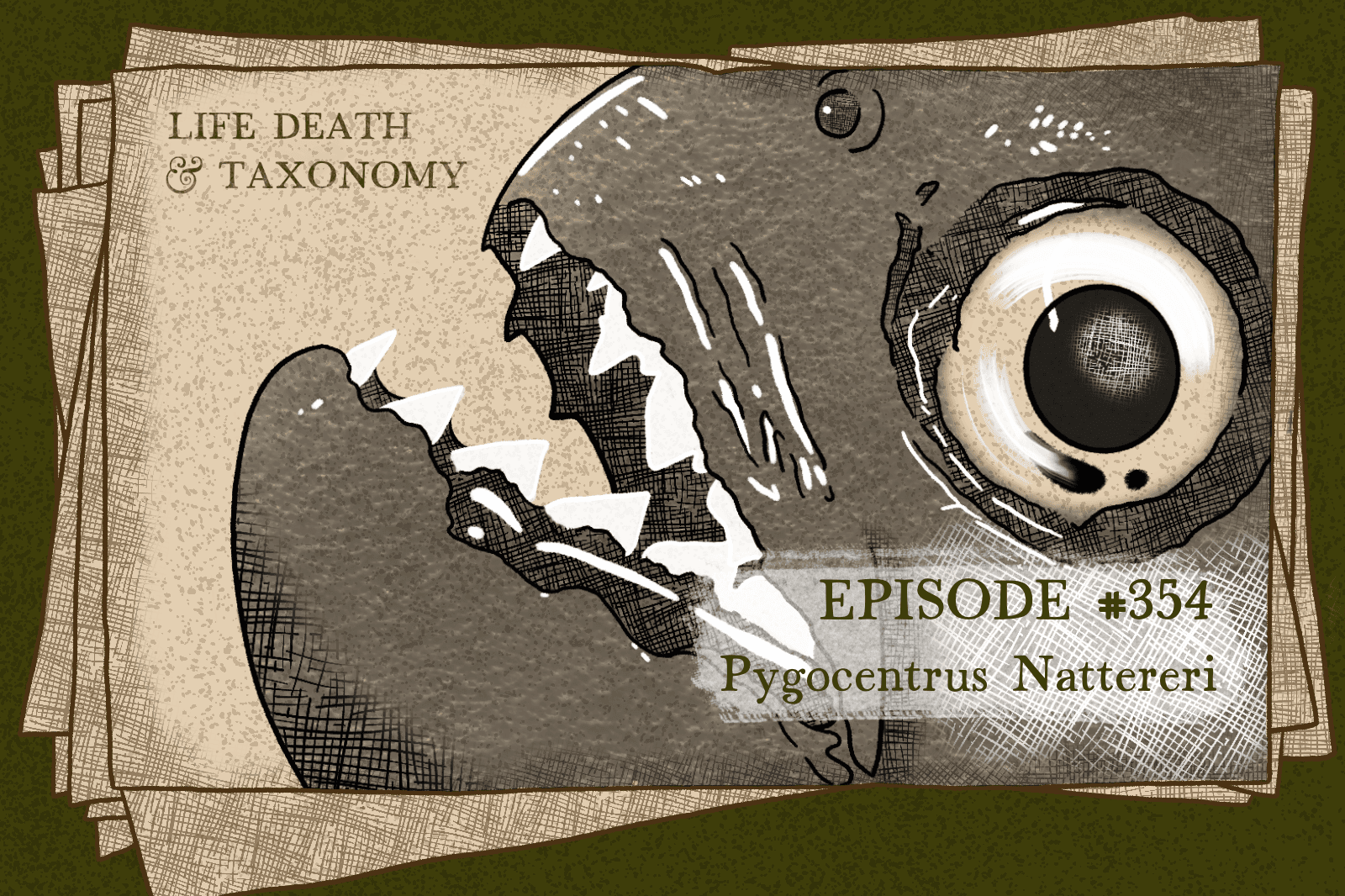 Episode 355 – Red-Bellied Piranha: The Red Menace