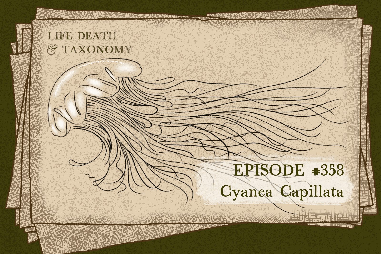 Episode 358 – Lion’s Mane Jellyfish: Peril of the Bell