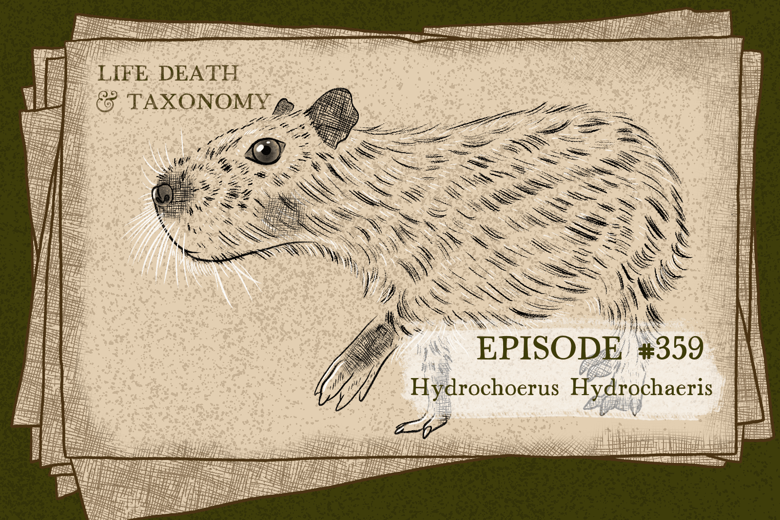 Episode 362 – Capybara: A Rodent of Unusual Size