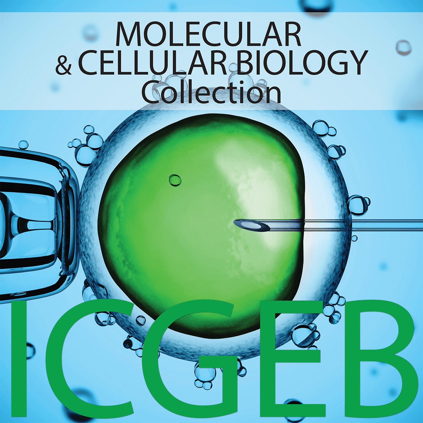 Jian-feng CHEN - Regulation of Immune Cell trafficking by adhesion signaling