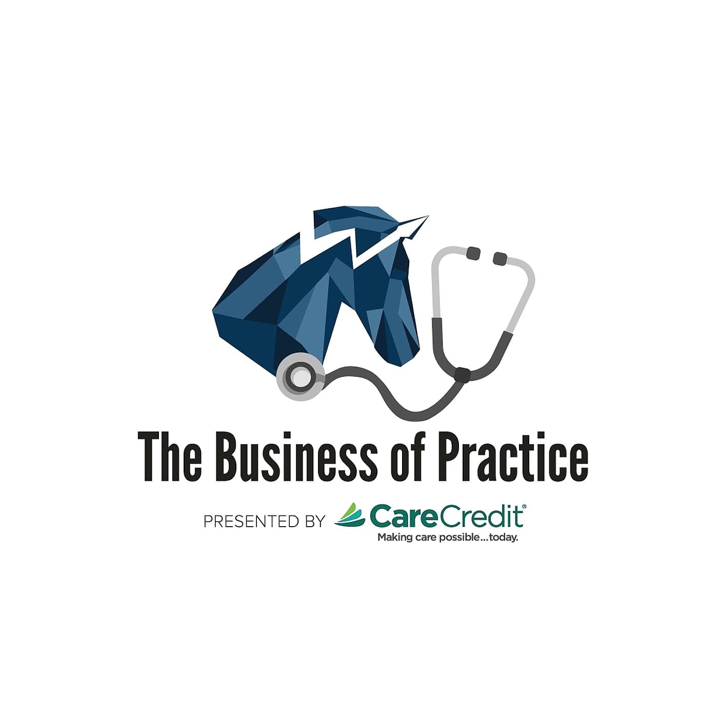 The Business of Practice 128: Utilizing Licensed Veterinary Technicians with Dr. Hailey Mueller