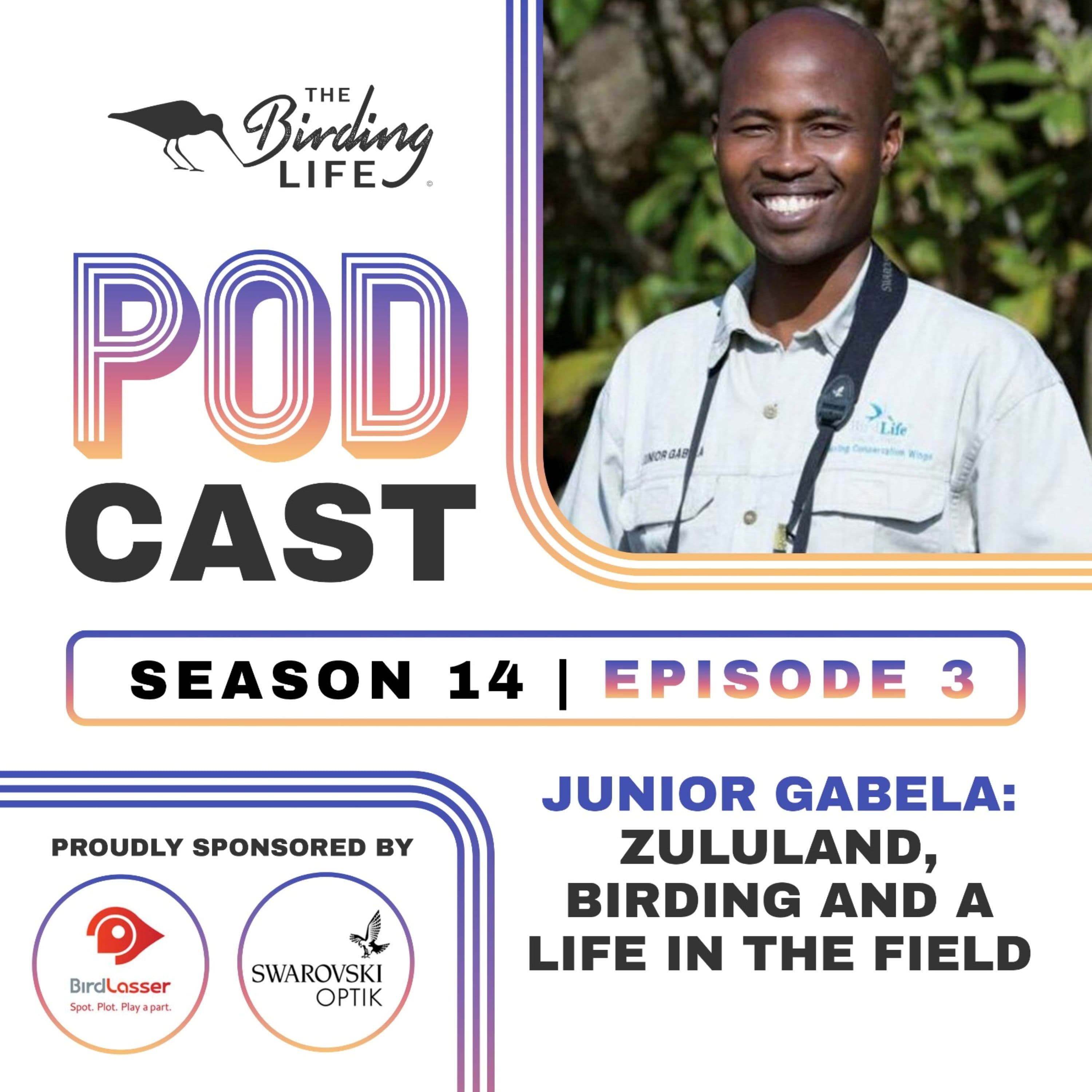 TBL Podcast - Season 14 Episode 3 - Junior Gabela. Zululand, Birding and a Life in the Field