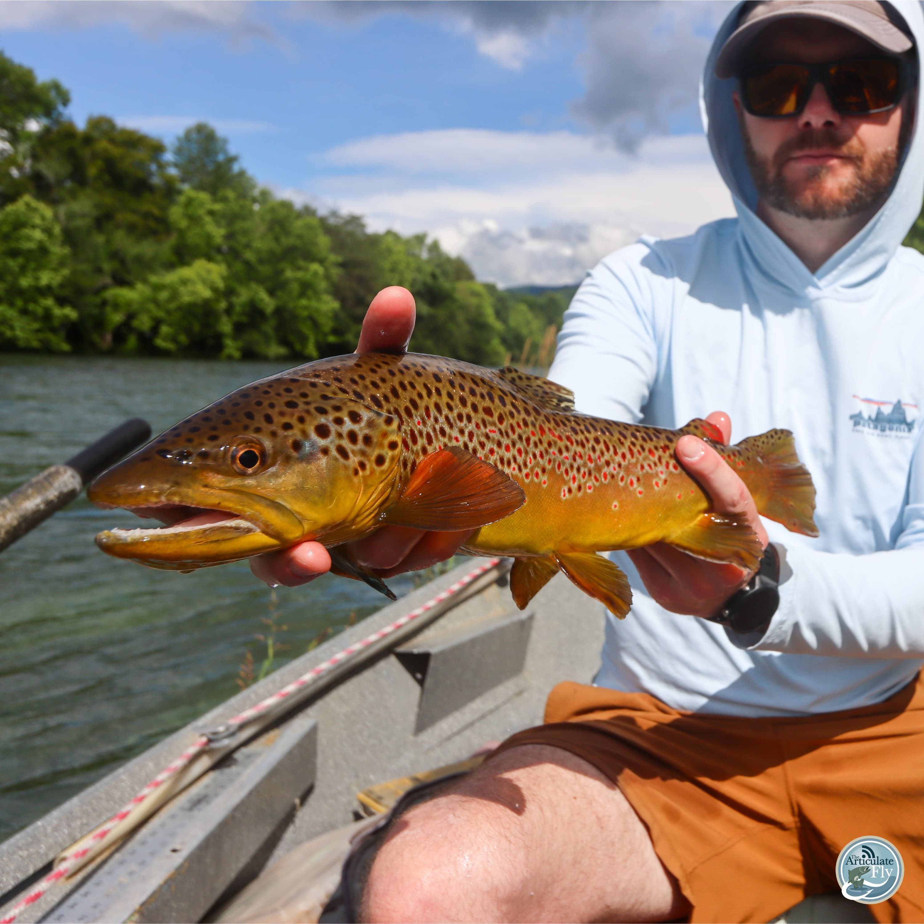 S7, Ep 59: Hot Days, Cool Fish: East Tennessee Fishing Insights with Ellis Ward