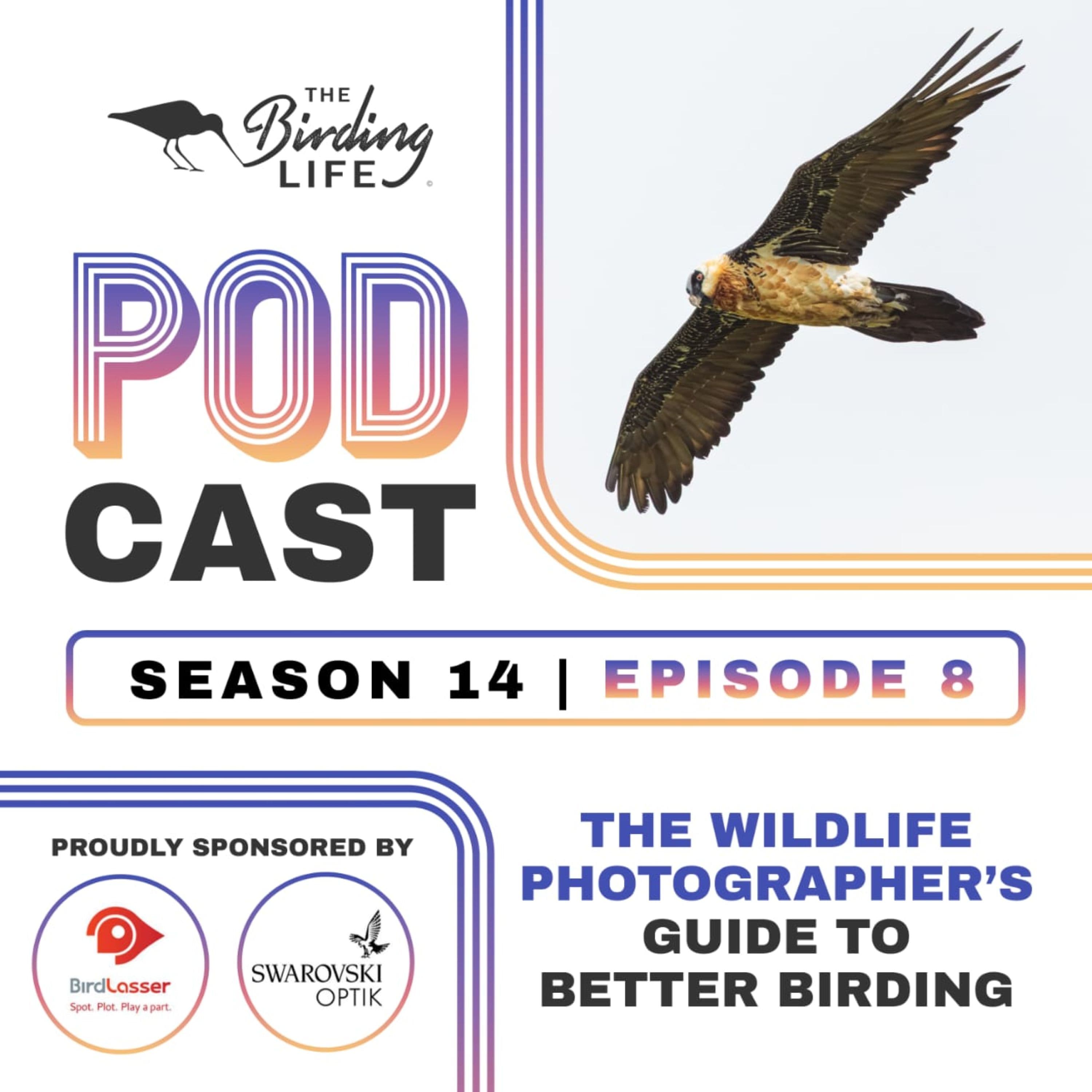 TBL Podcast - Season 14 Episode 8 - The Wildlife Photographer's Guide to Better Birding