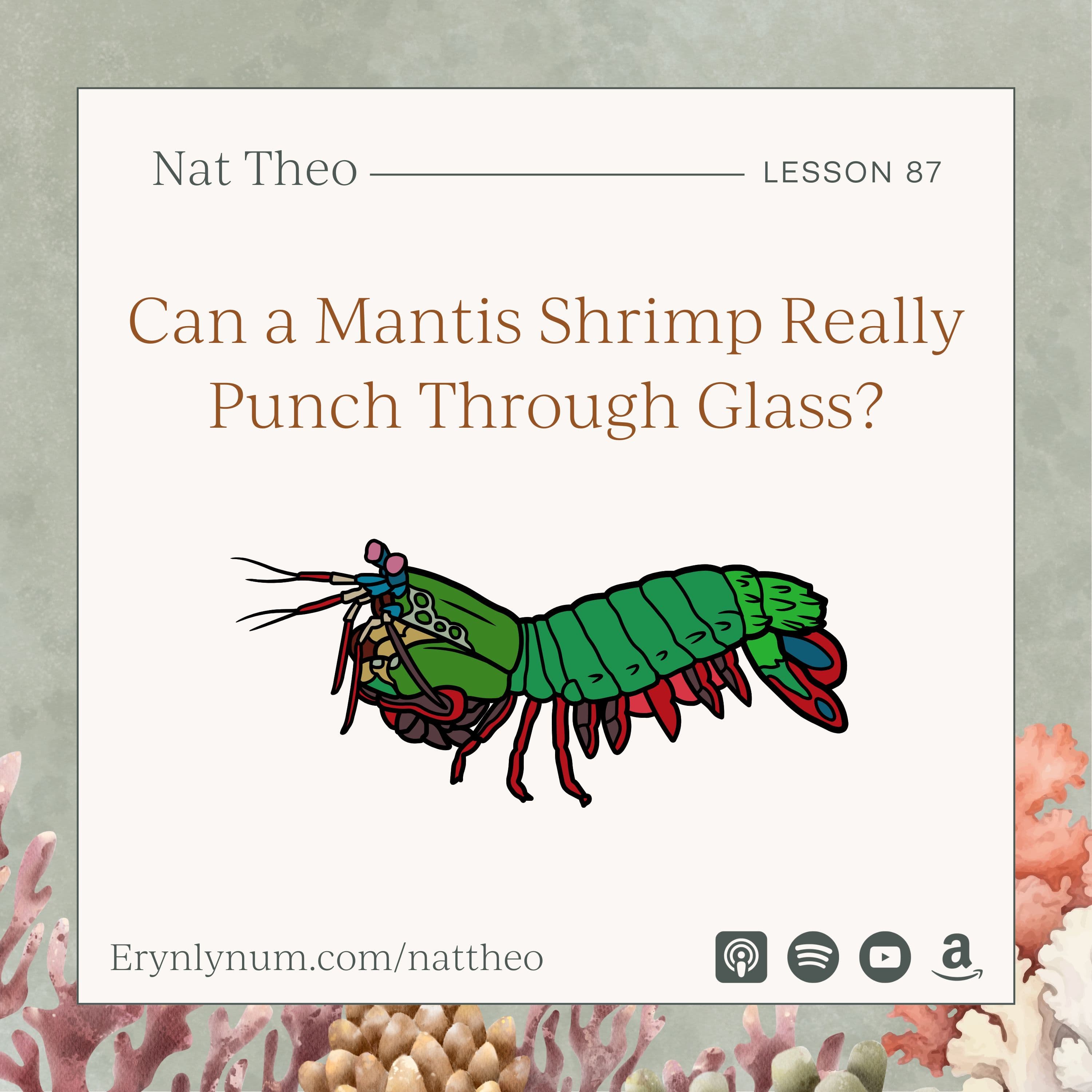 Can a Mantis Shrimp Really Punch Through Glass? Lesson 87