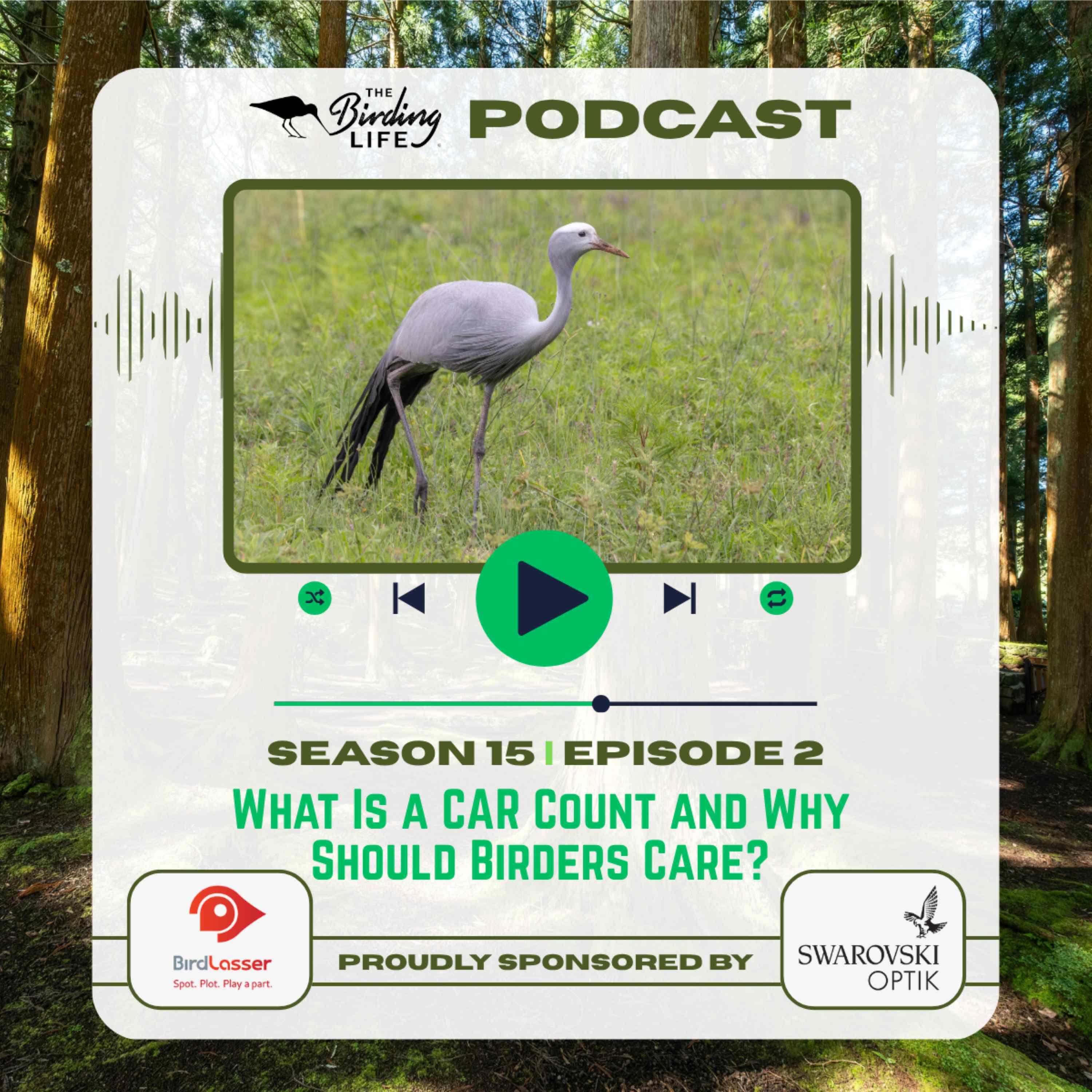 TBL Podcast - Season 15 Episode 2 - What Is a CAR Count and Why Should Birders Care?