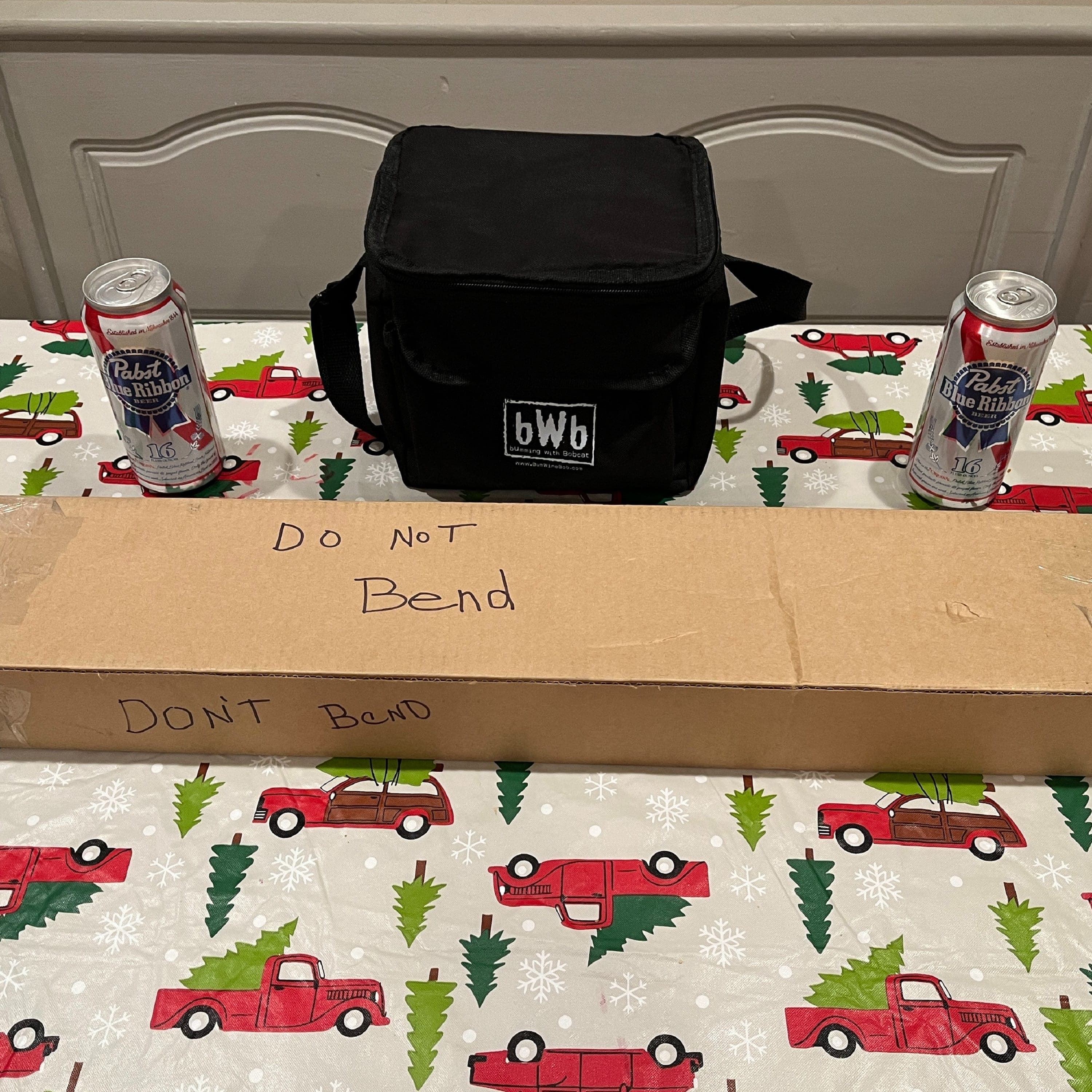 Holiday Hijinks And A Blue Ribbon Christmas