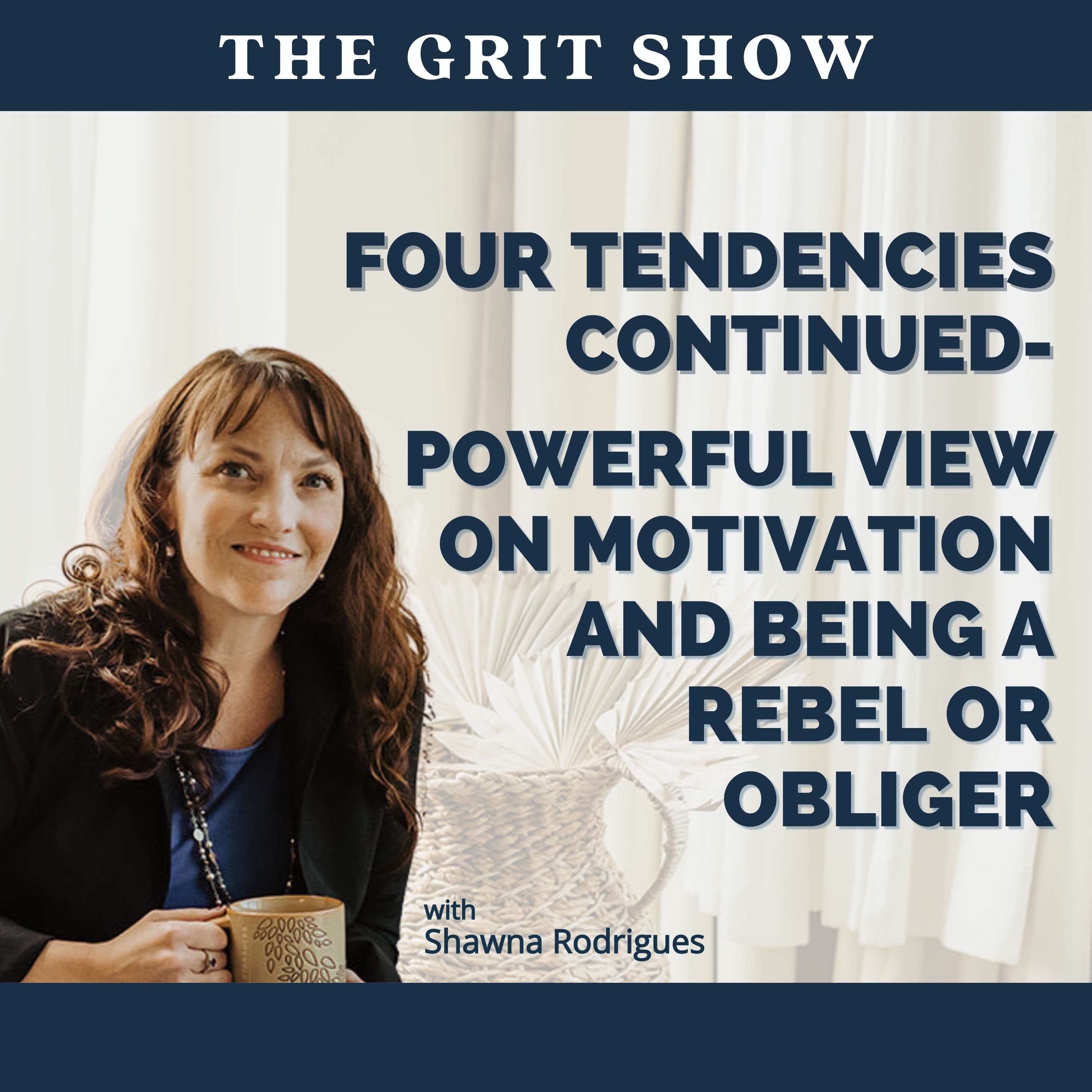 Four Tendencies Continued- Powerful View on Motivation and Being a Rebel or Obliger - 111