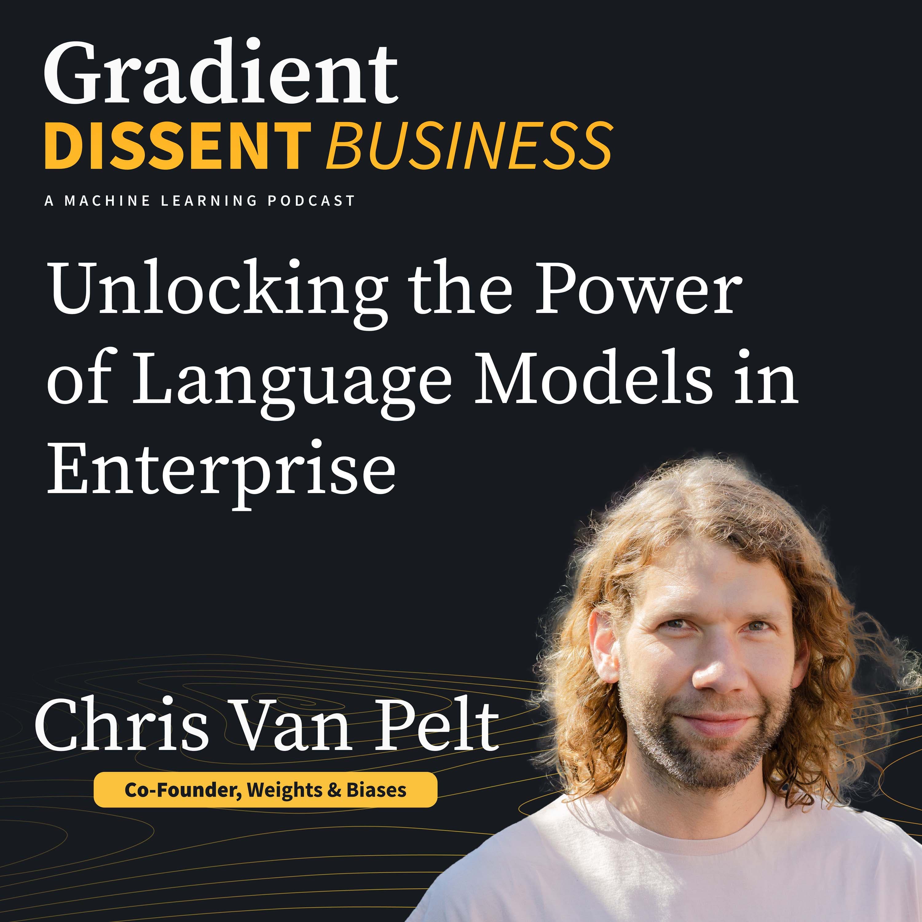 Unlocking the Power of Language Models in Enterprise: A Deep Dive with Chris Van Pelt