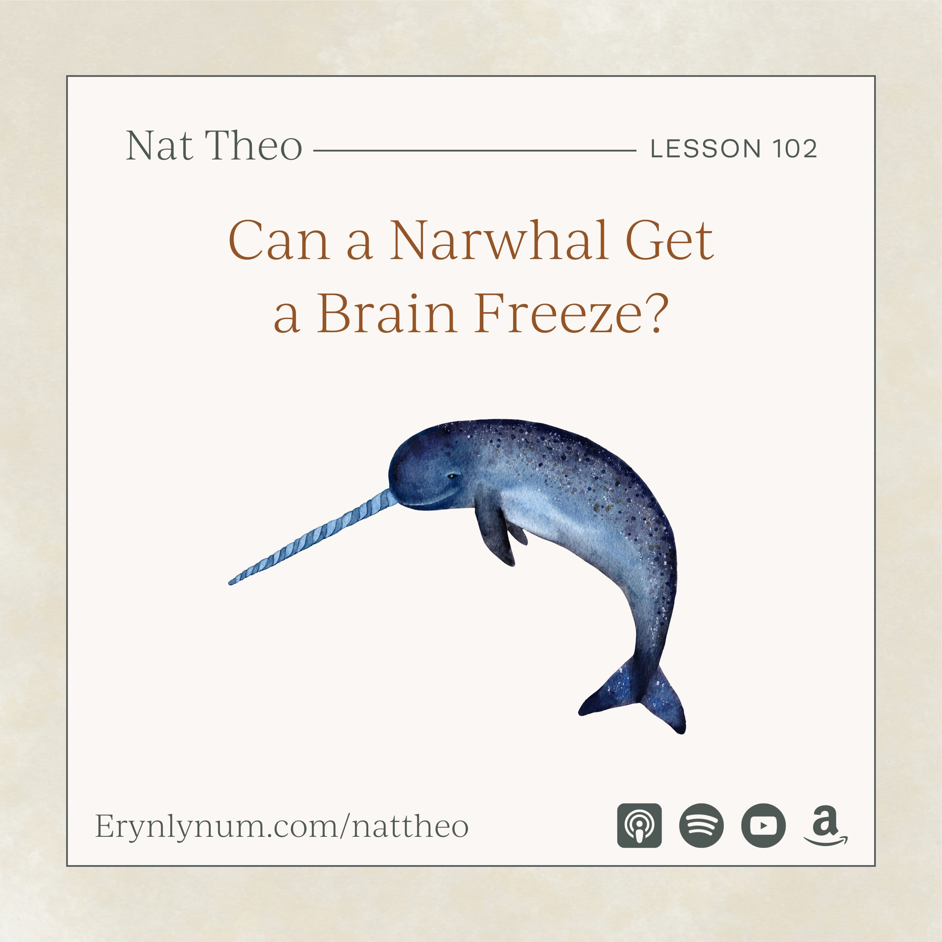 Can a Narwhal Get a Brain Freeze? - Lesson 102