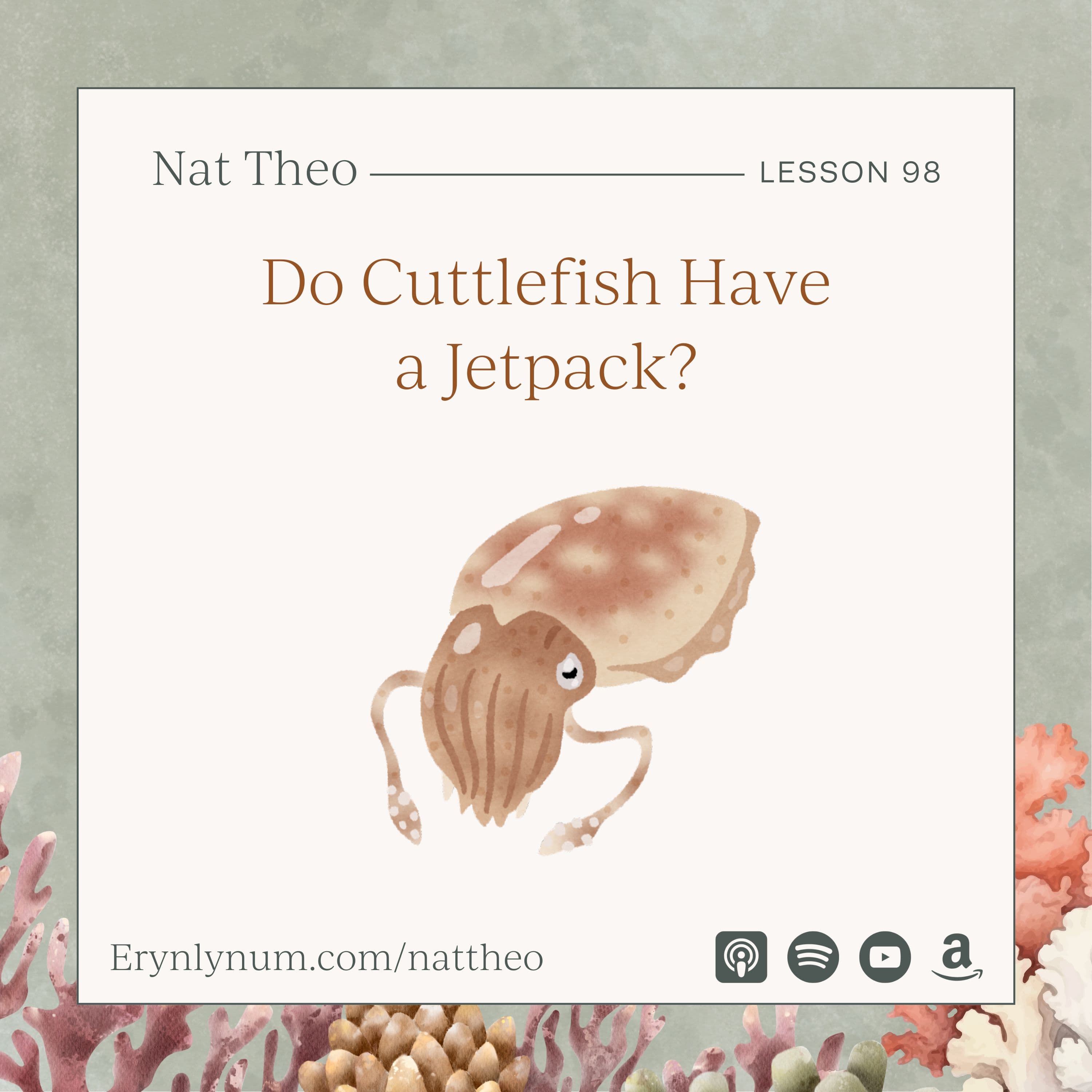 Do Cuttlefish Have a Jetpack? Lesson 98