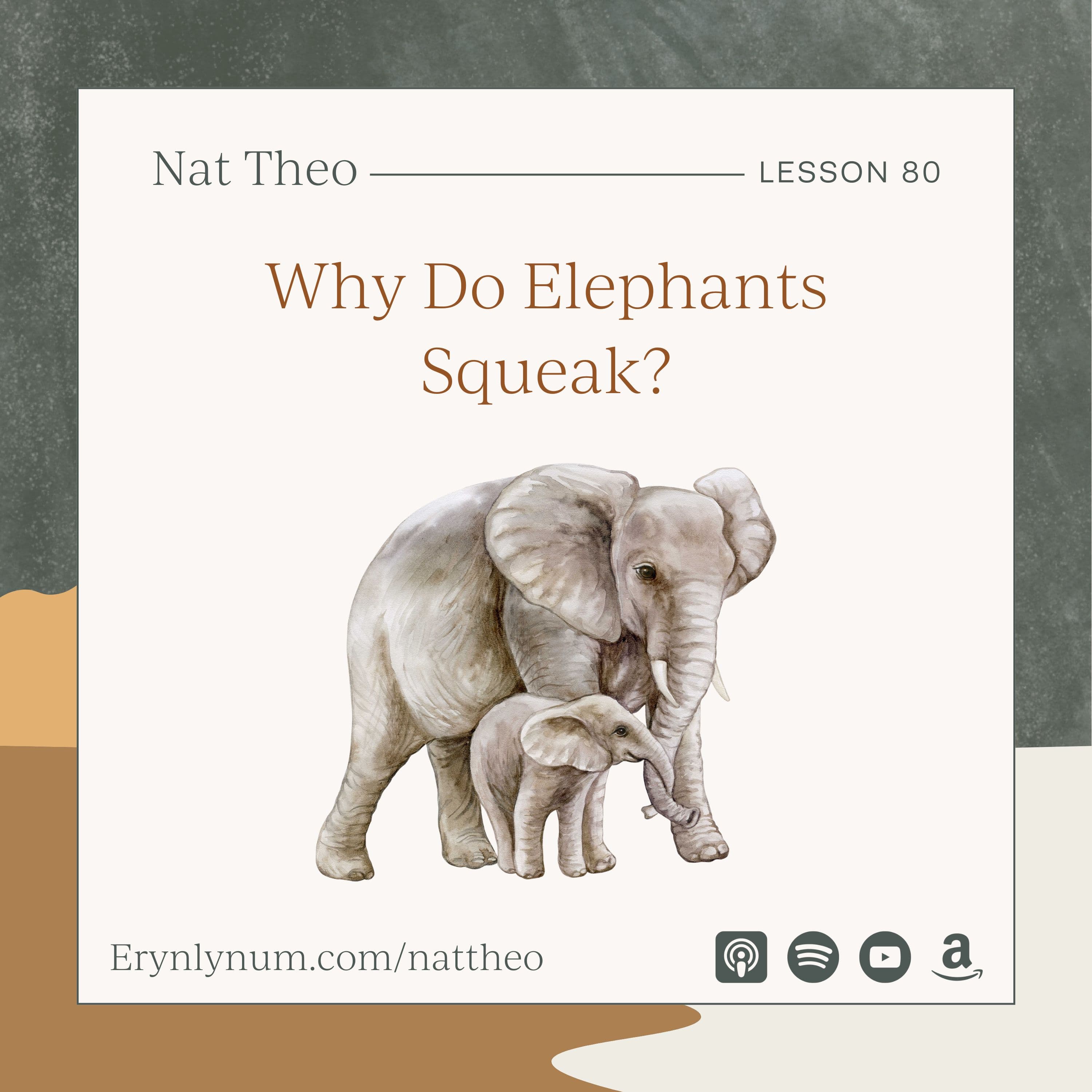 Why Do Elephants Squeak? Lesson 80