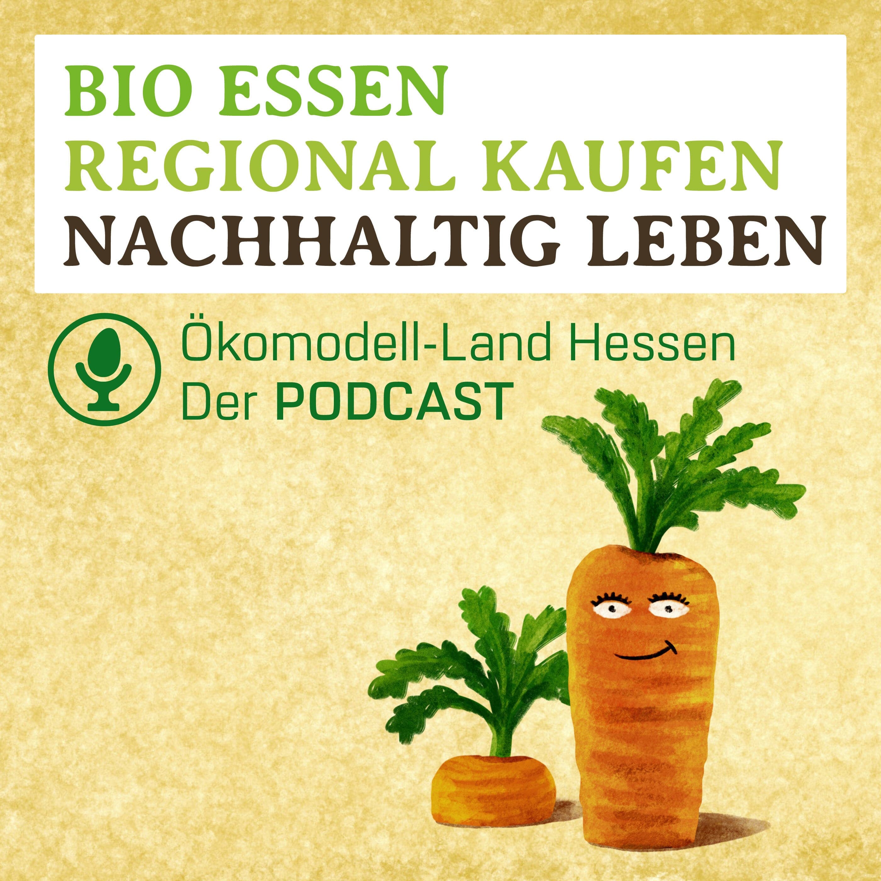 Den Kopf nicht in den Sand stecken - Biologische Gemüseproduktion im Landkreis Offenbach | Hubert Wolf | Birkenhof, Seligenstadt