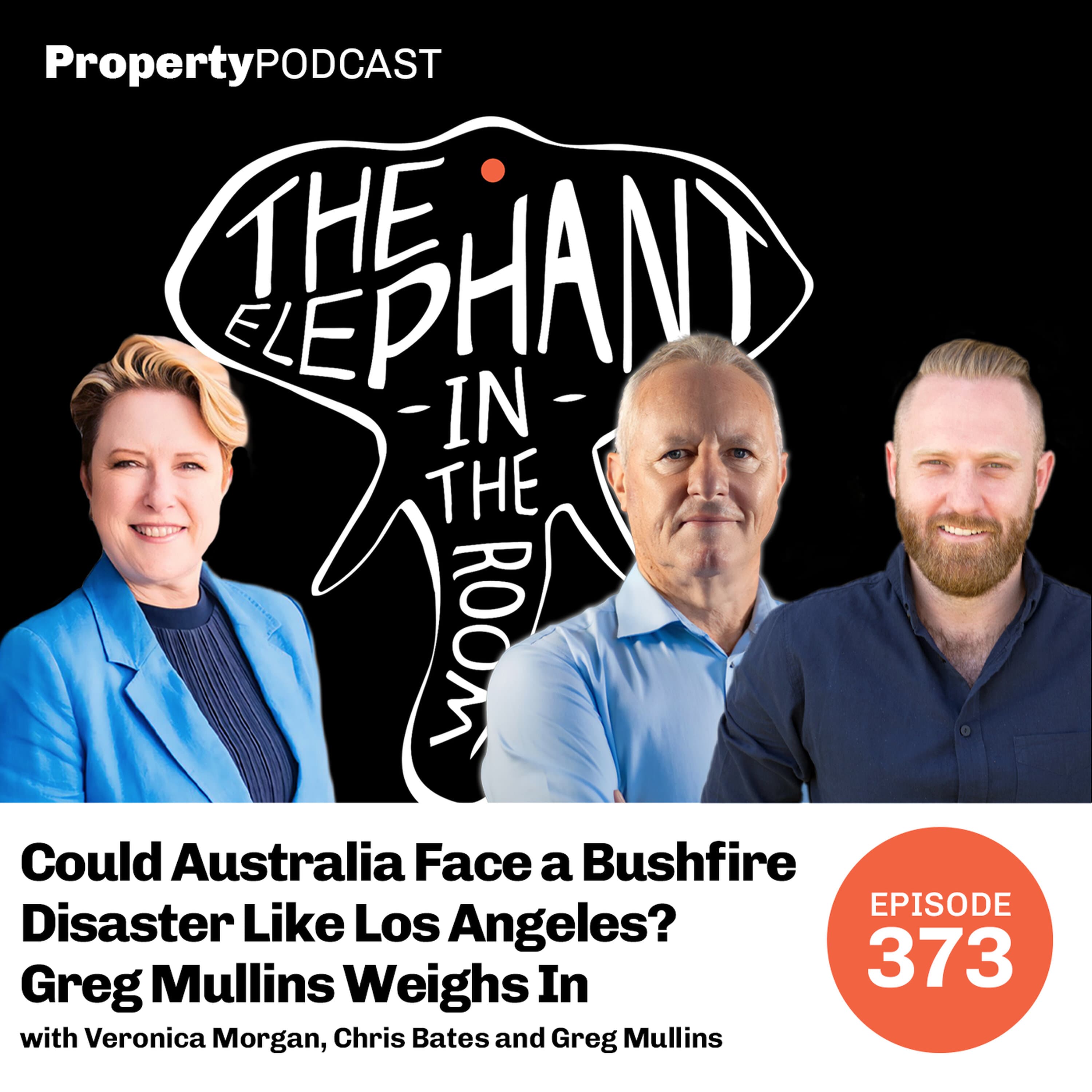 Could Australia Face a Bushfire Disaster Like Los Angeles? Greg Mullins Weighs In