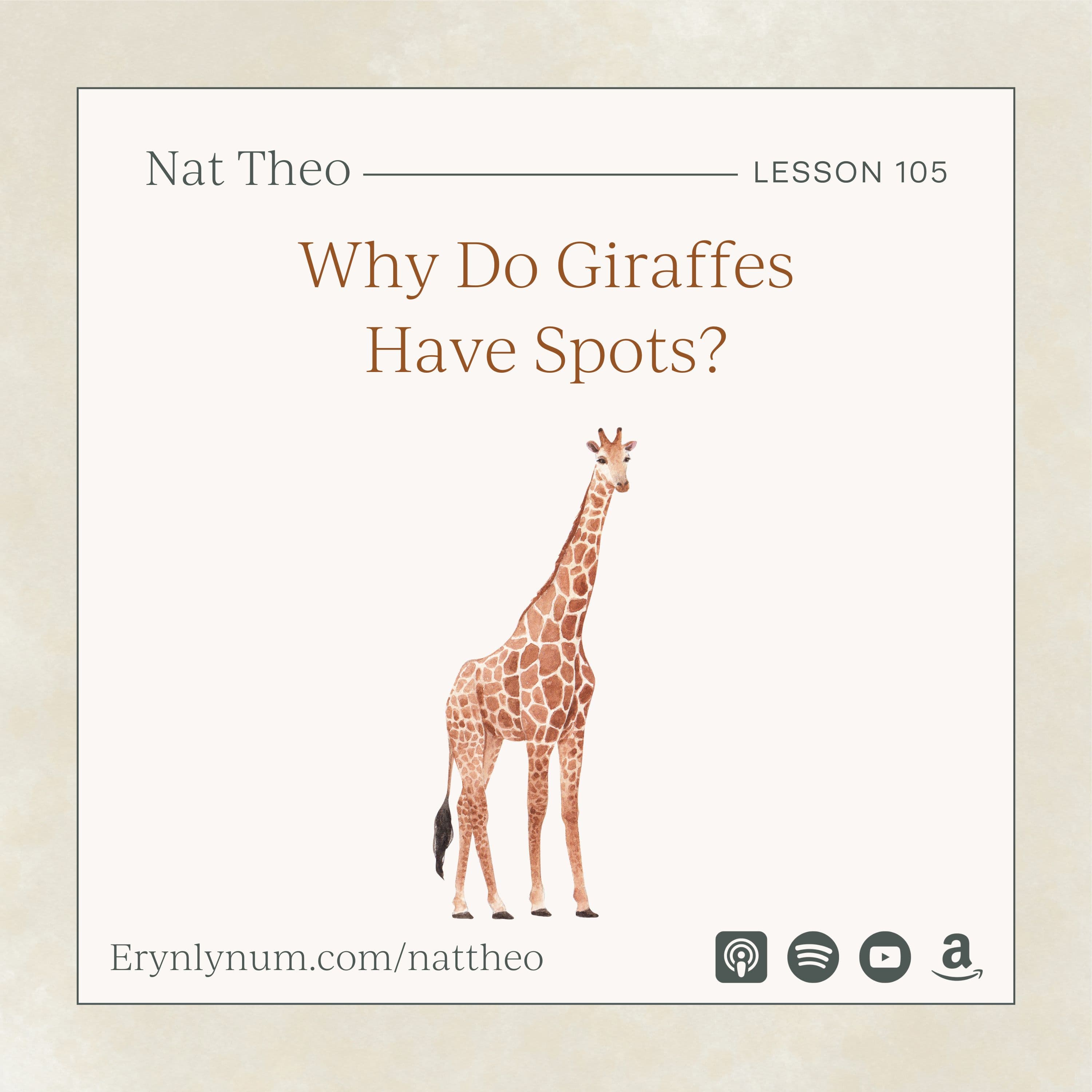 Why Do Giraffes Have Spots? Lesson 105