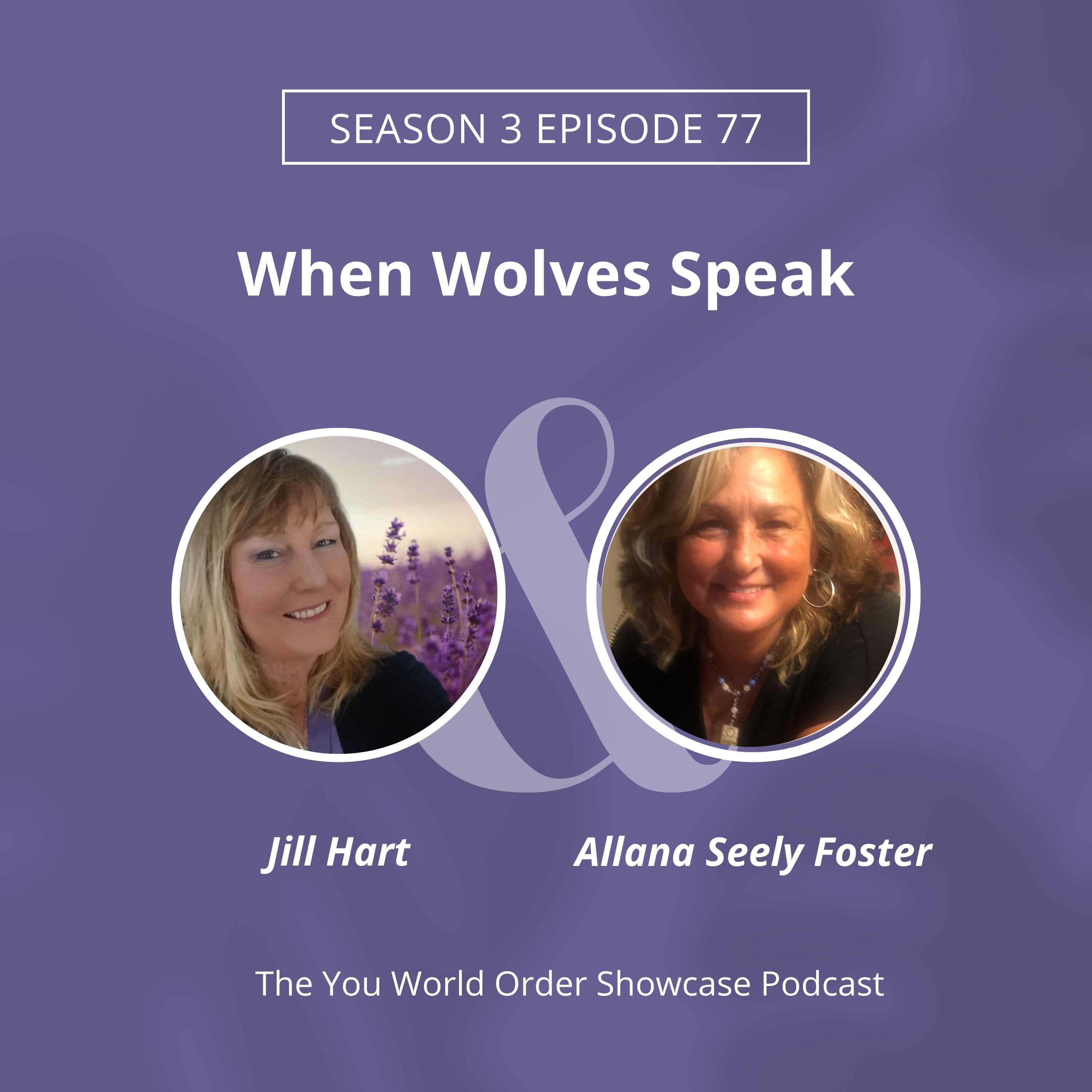 Wild Wisdom: What Wolves Teach Us About Healing, Balance & Spirit Connection