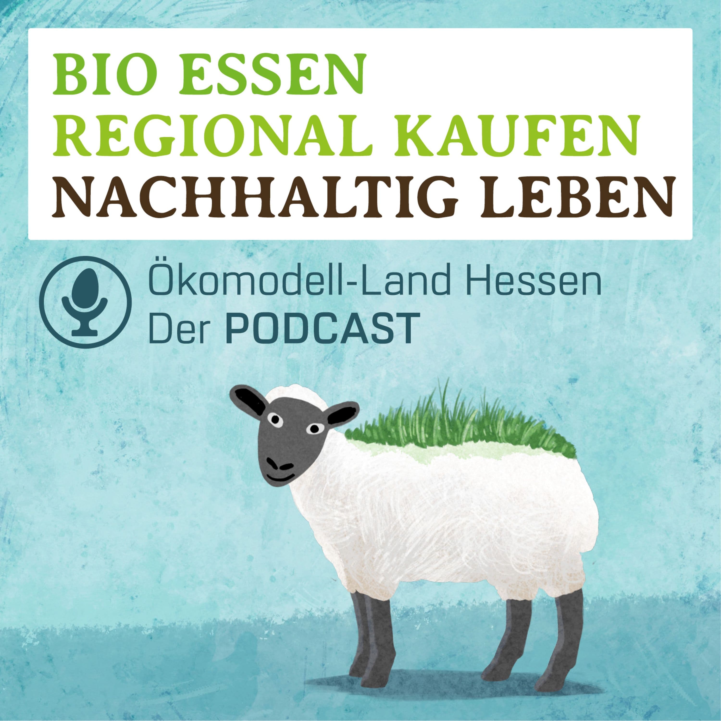Rollrasen aus Schafwolle - Hammer-Idee oder Spinnerei? | zu Gast: Oliver Stey, Schäfer & Thomas Hilberg, Gartenbau-Unternehmer | Kirchhain-Stauseebach & Marburg