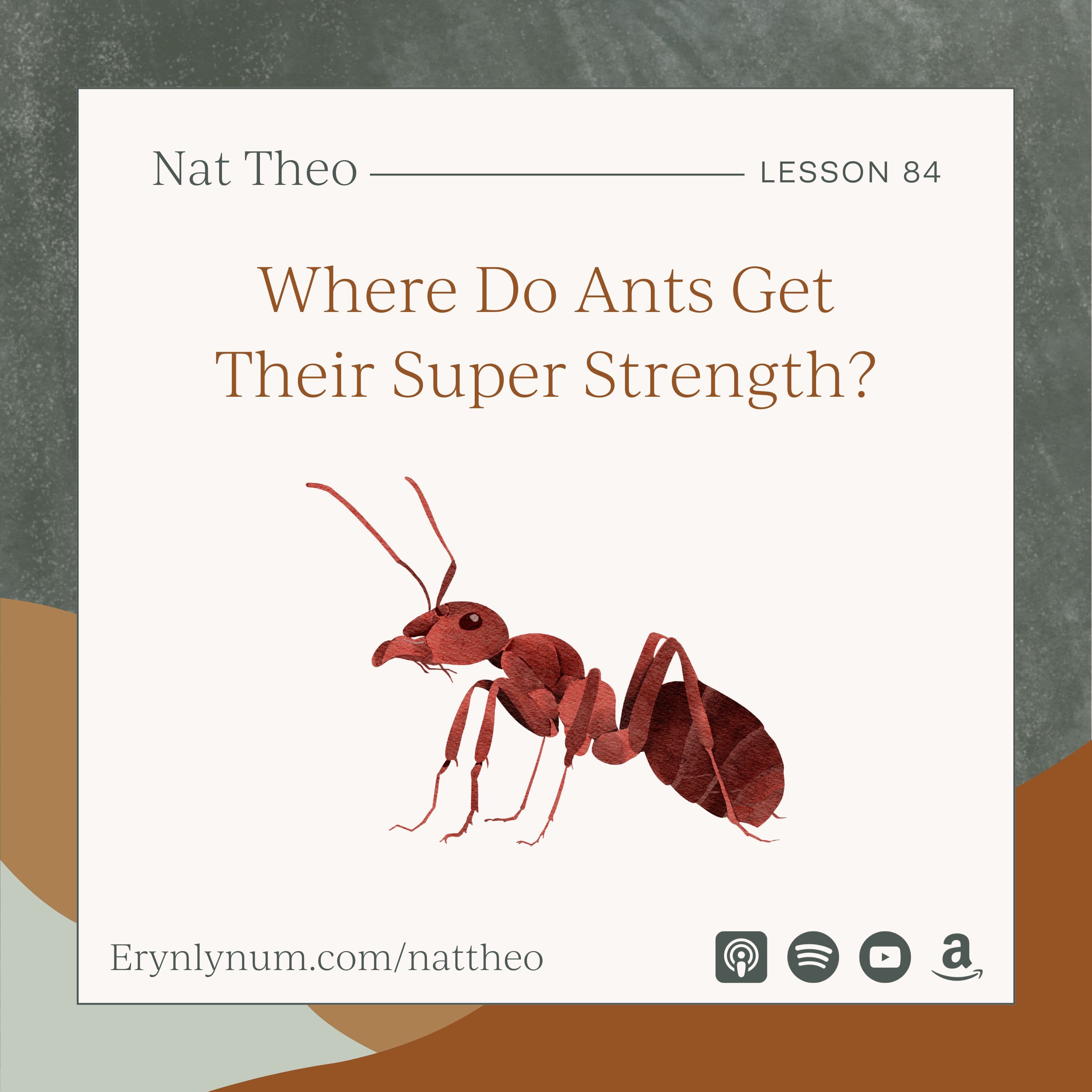Where Do Ants Get Their Super Strength? Lesson 84