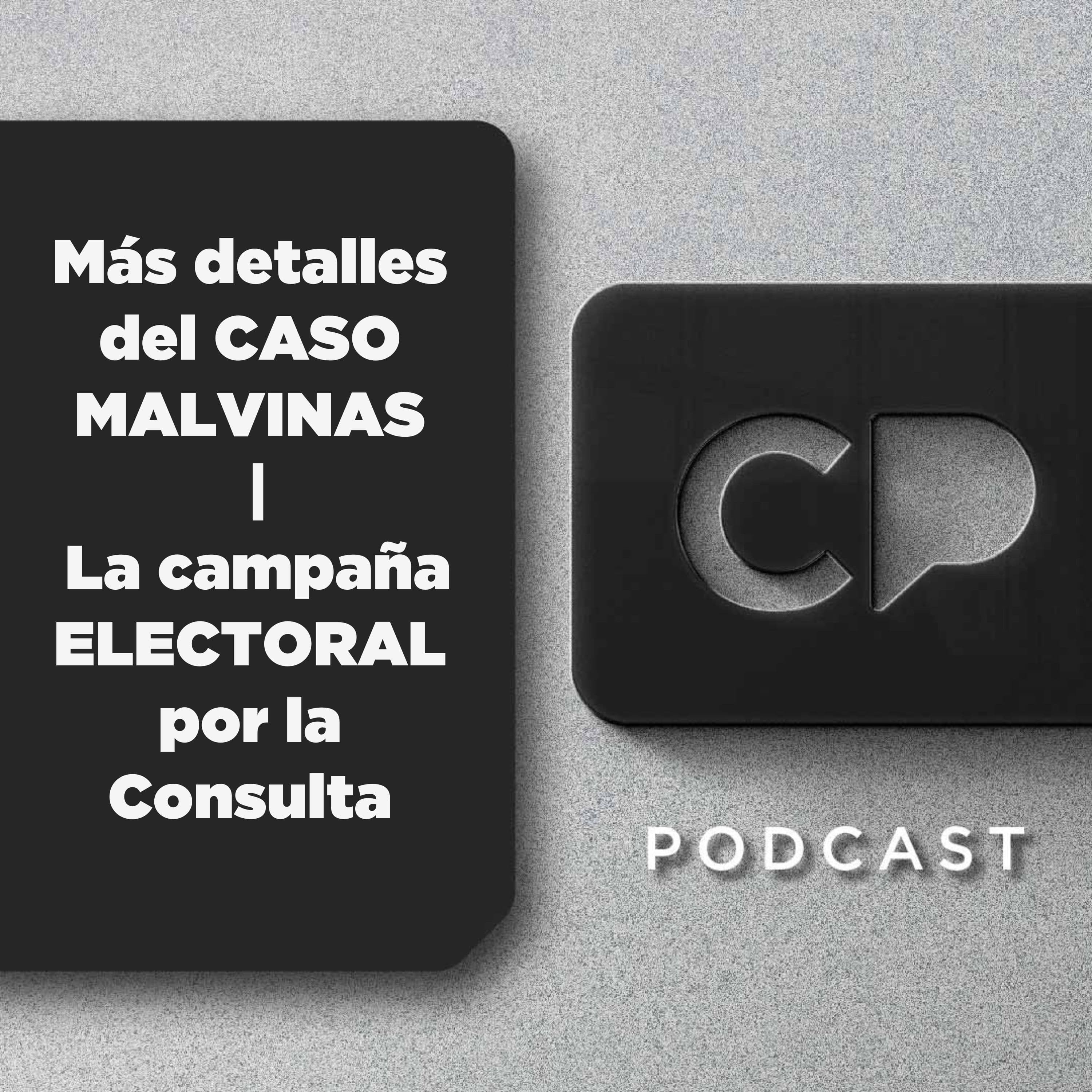 12/NOV: Más detalles del CASO MALVINAS | La campaña ELECTORAL por la Consulta