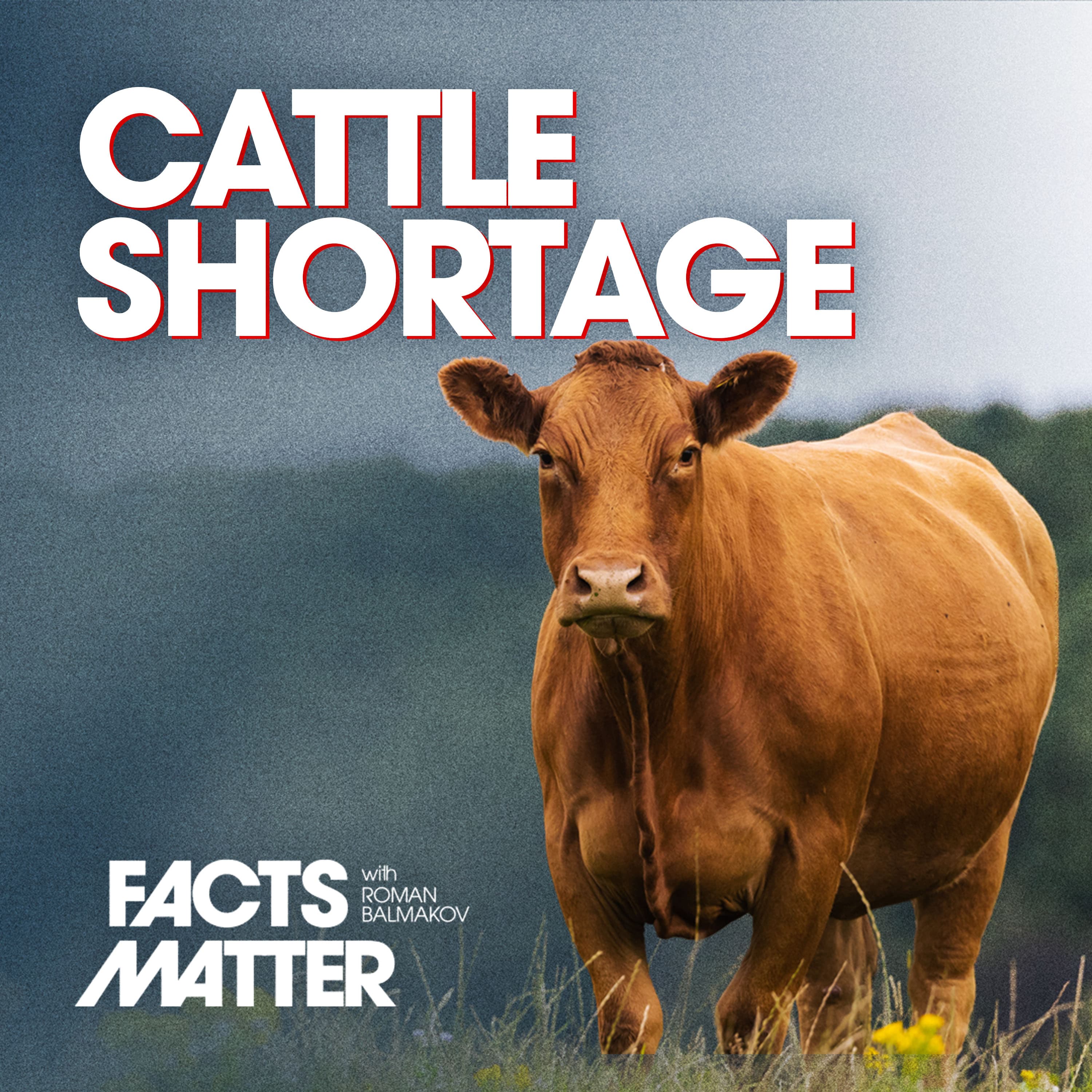 “Big 4” Consolidate 80% of Beef Supply; Steak Prices Soaring