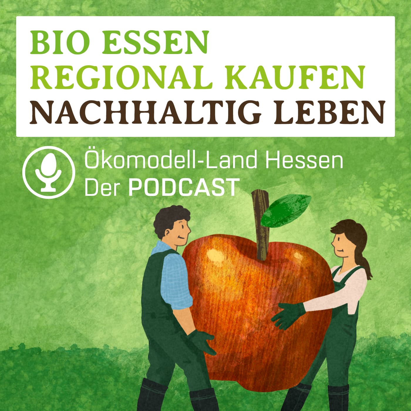 SoLaWi Bitte?! Frische regionale Bio-Lebensmittel direkt vor der Haustür | Dieter Fitsch | Solidarische Landwirtschaft Friedberg-Dorheim
