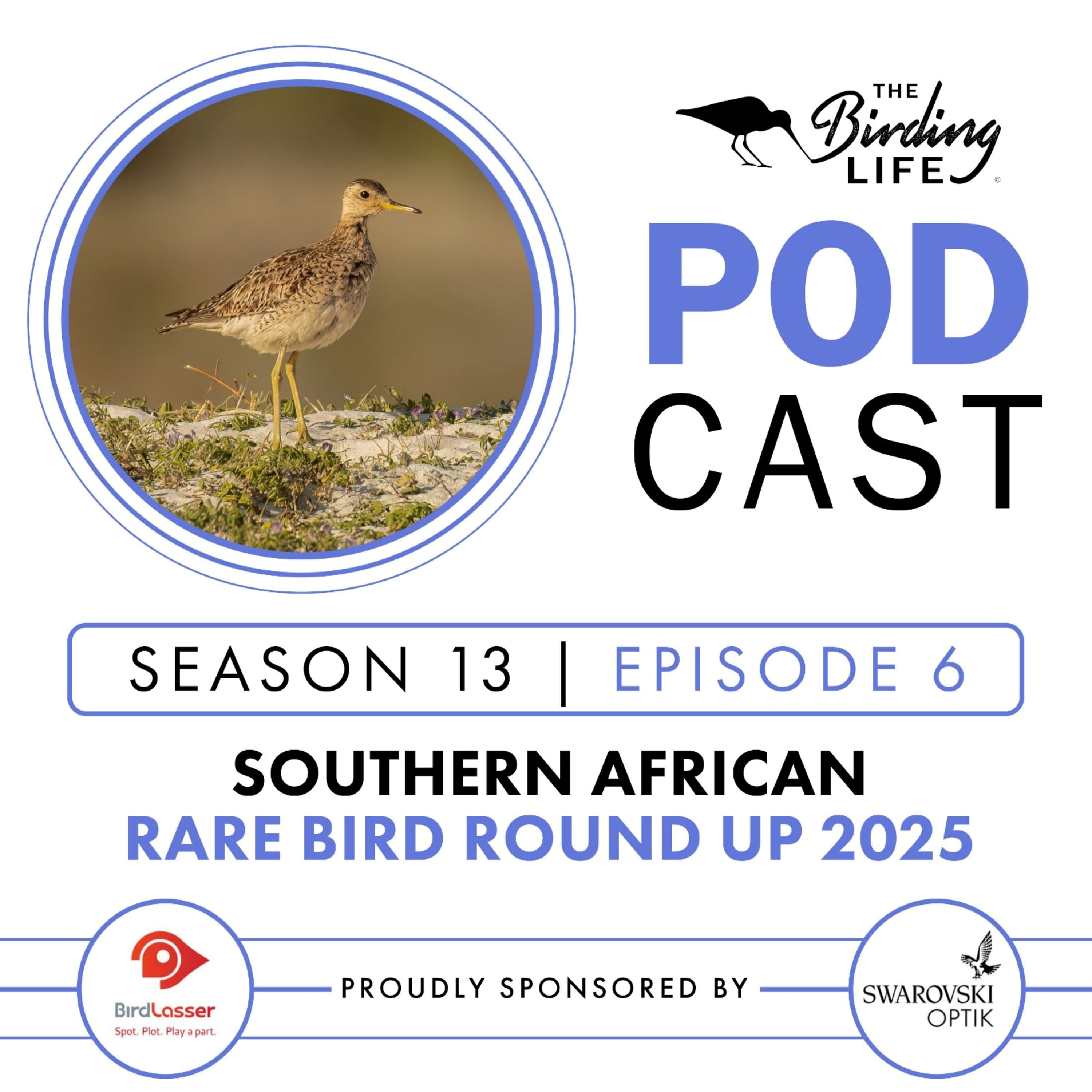 TBL Podcast - Season 13 Episode 6 - Southern African Rare Bird Round Up 2025