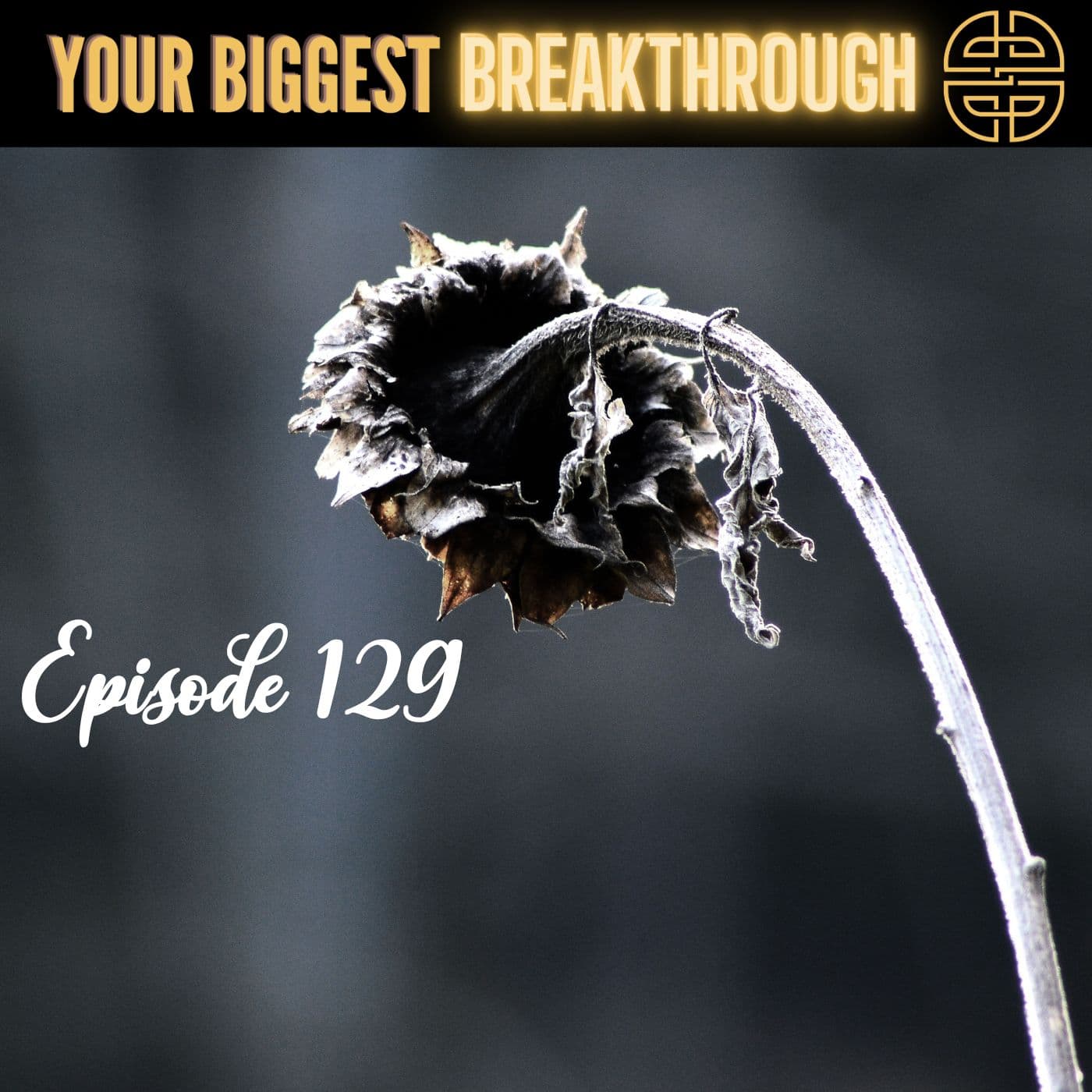 Episode 129: Overcoming Loneliness: A Deep Dive into its Impact and Practical Solutions