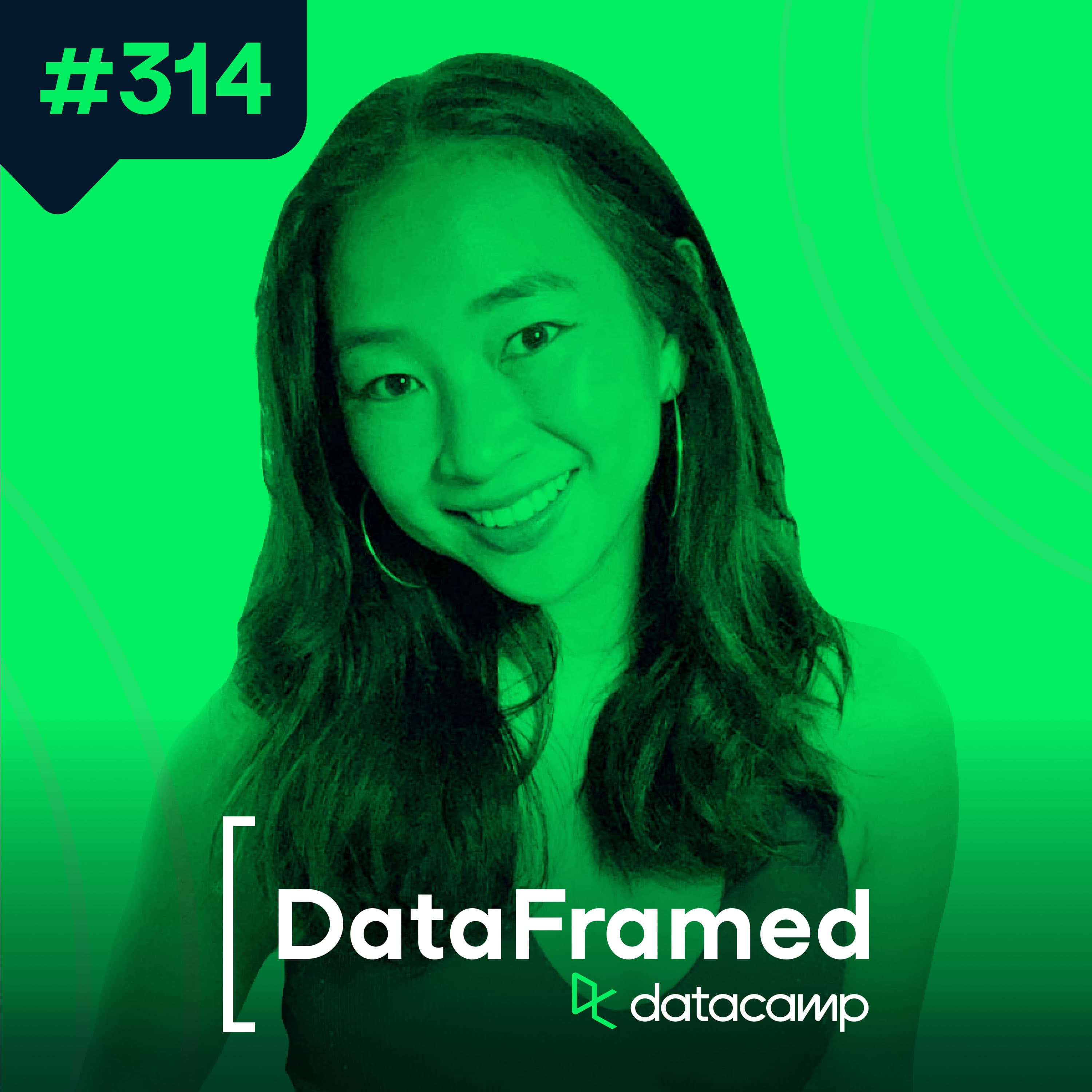 #314 How to Have a Career in Data Science in 2025 with Dawn Choo, Data Careers Influencer, Co-Founder at Interview Master