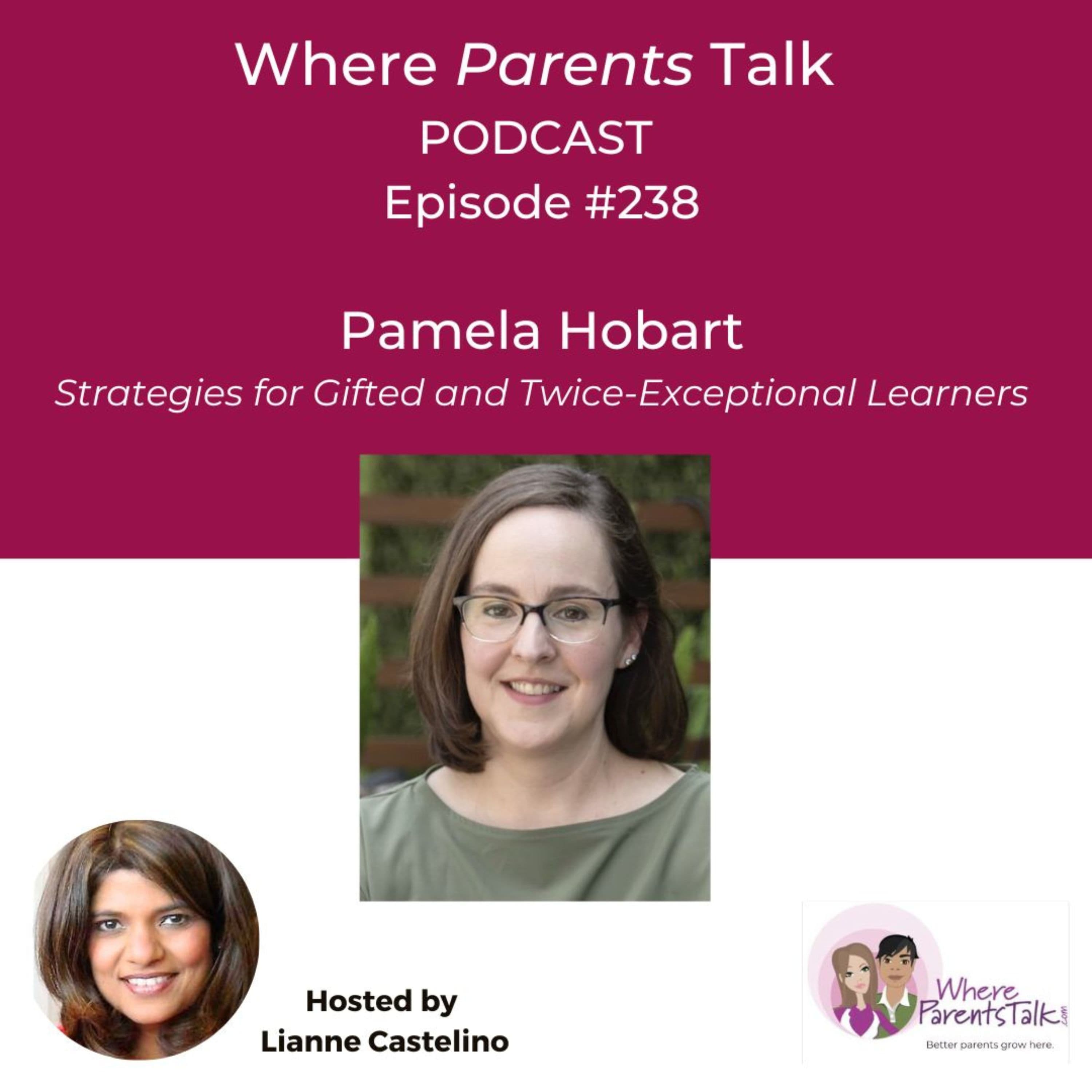 Rethinking Gifted Education: The Role of AI, Mastery, and Life Skills