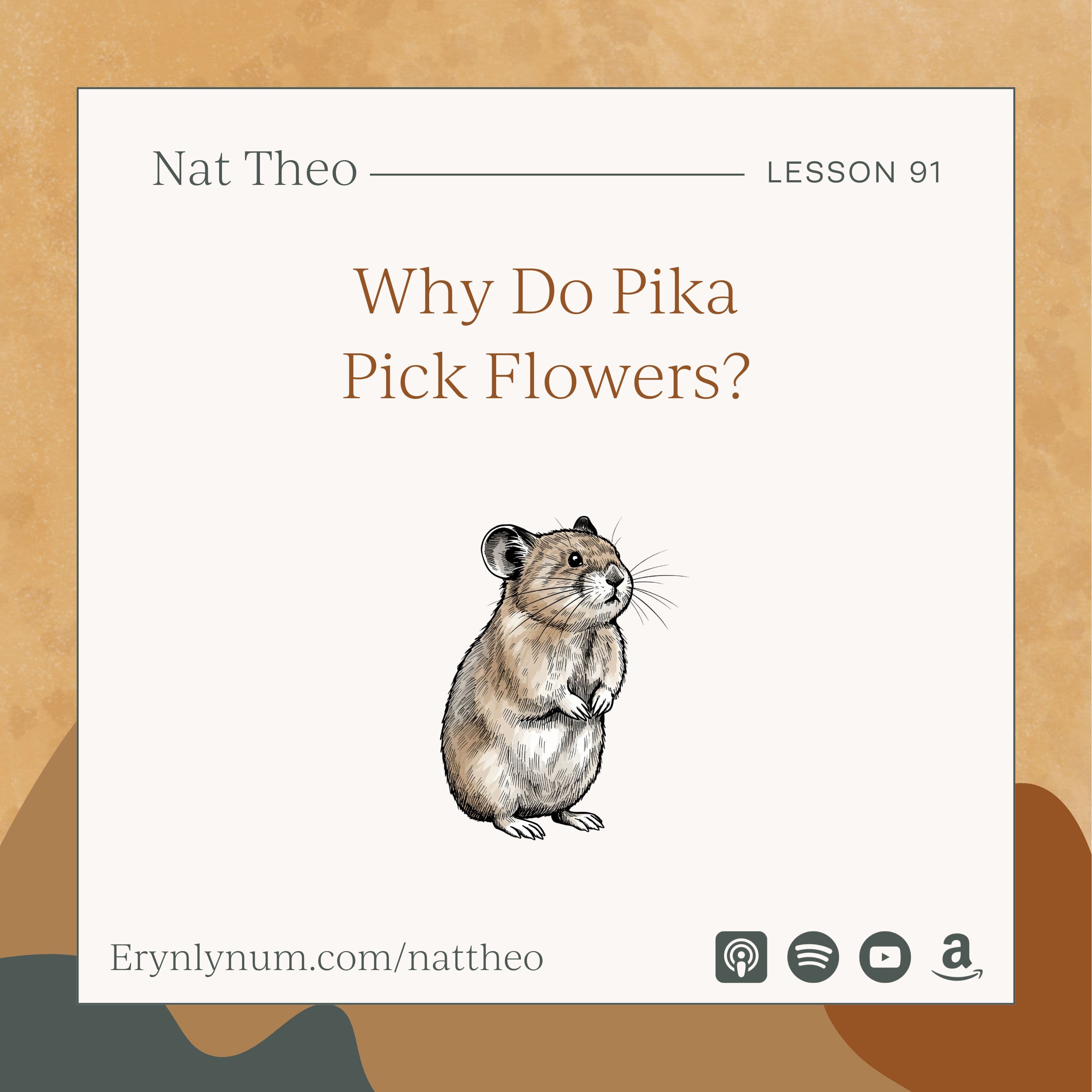 Why Do Pika Pick Flowers? Lesson 91