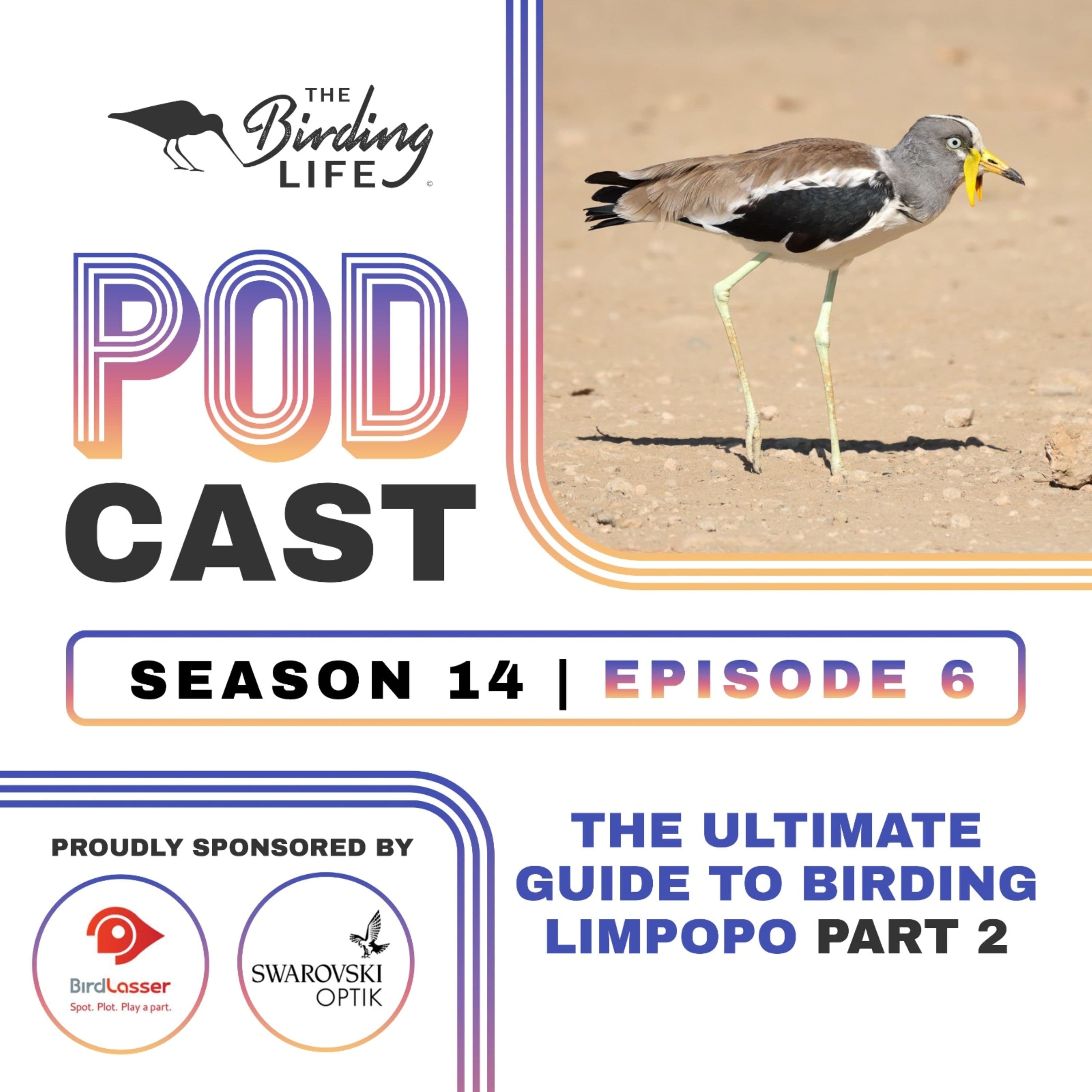 TBL Podcast - Season 14 Episode 6 - The Ultimate Guide to Birding Limpopo Pt 2