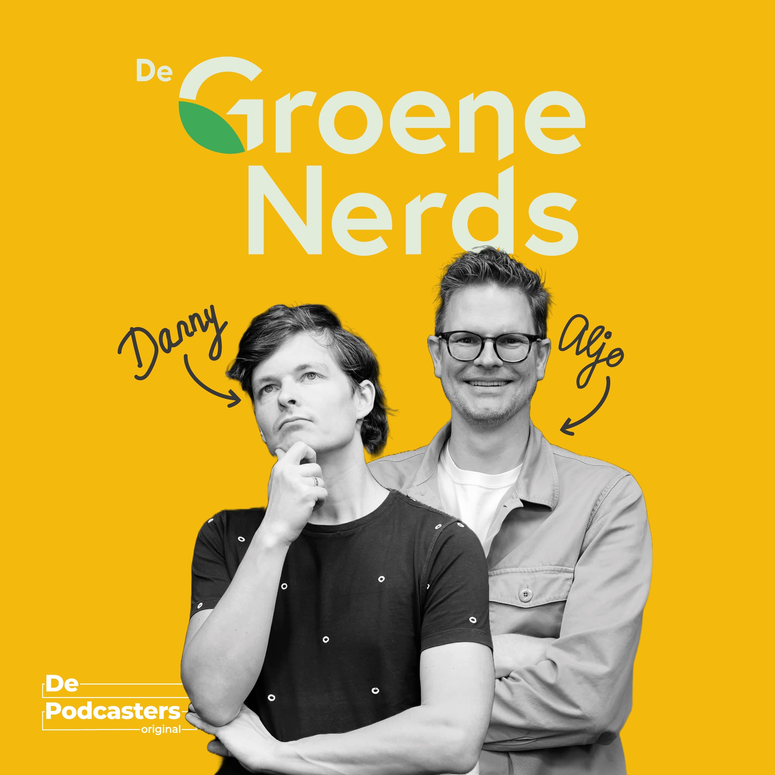 #31 Geld verdienen door zonnepanelen uitzetten (ja, echt)