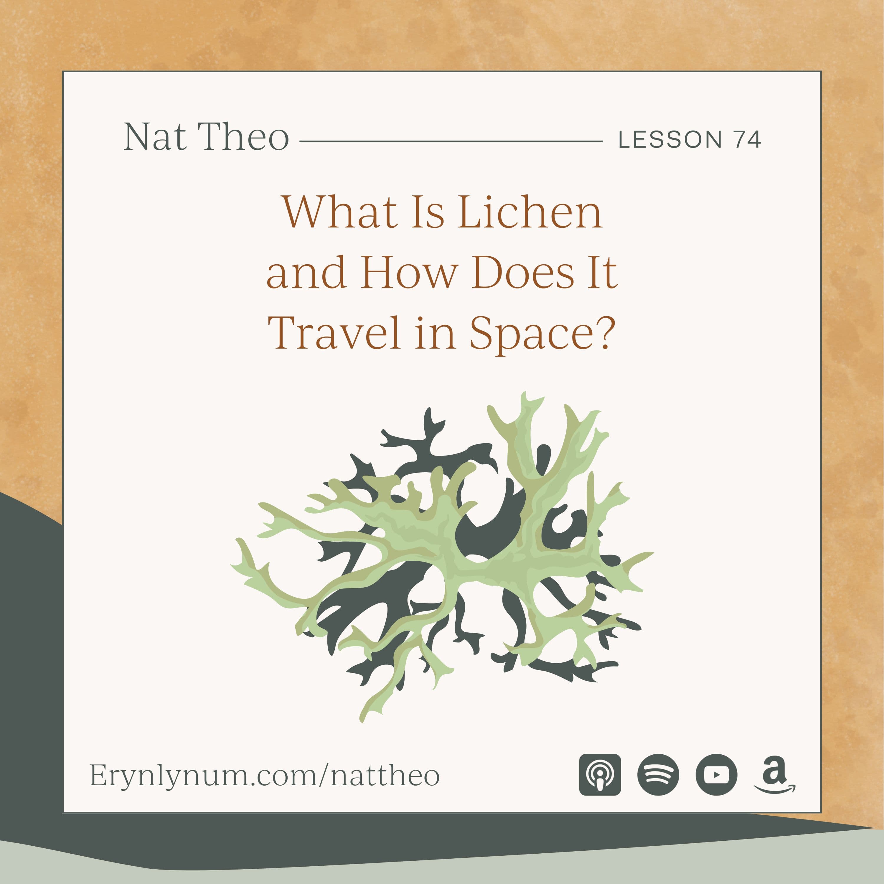 What Is Lichen and How Does It Travel in Space? Lesson 74