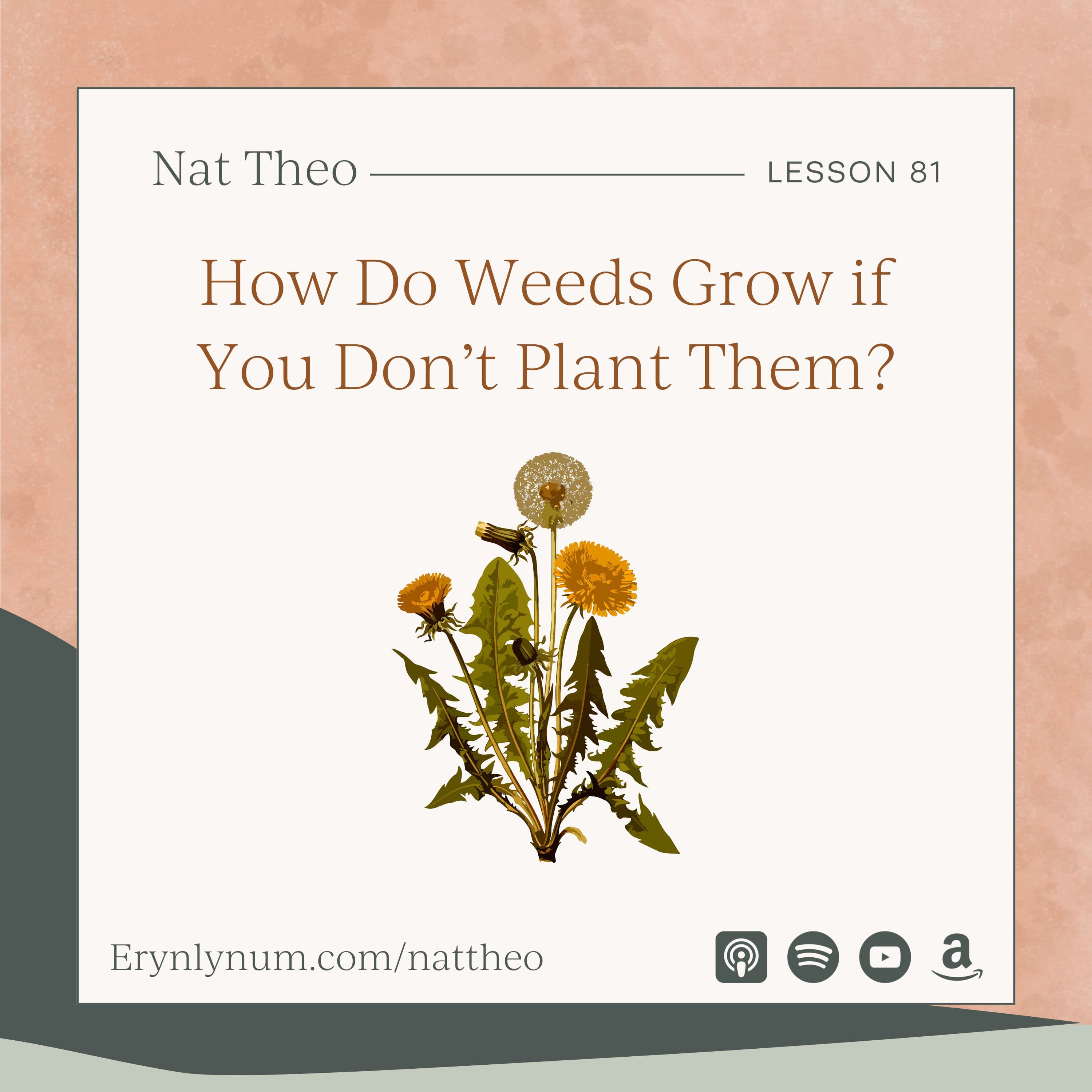 How Do Weeds Grow if You Don’t Plant Them? Lesson 81