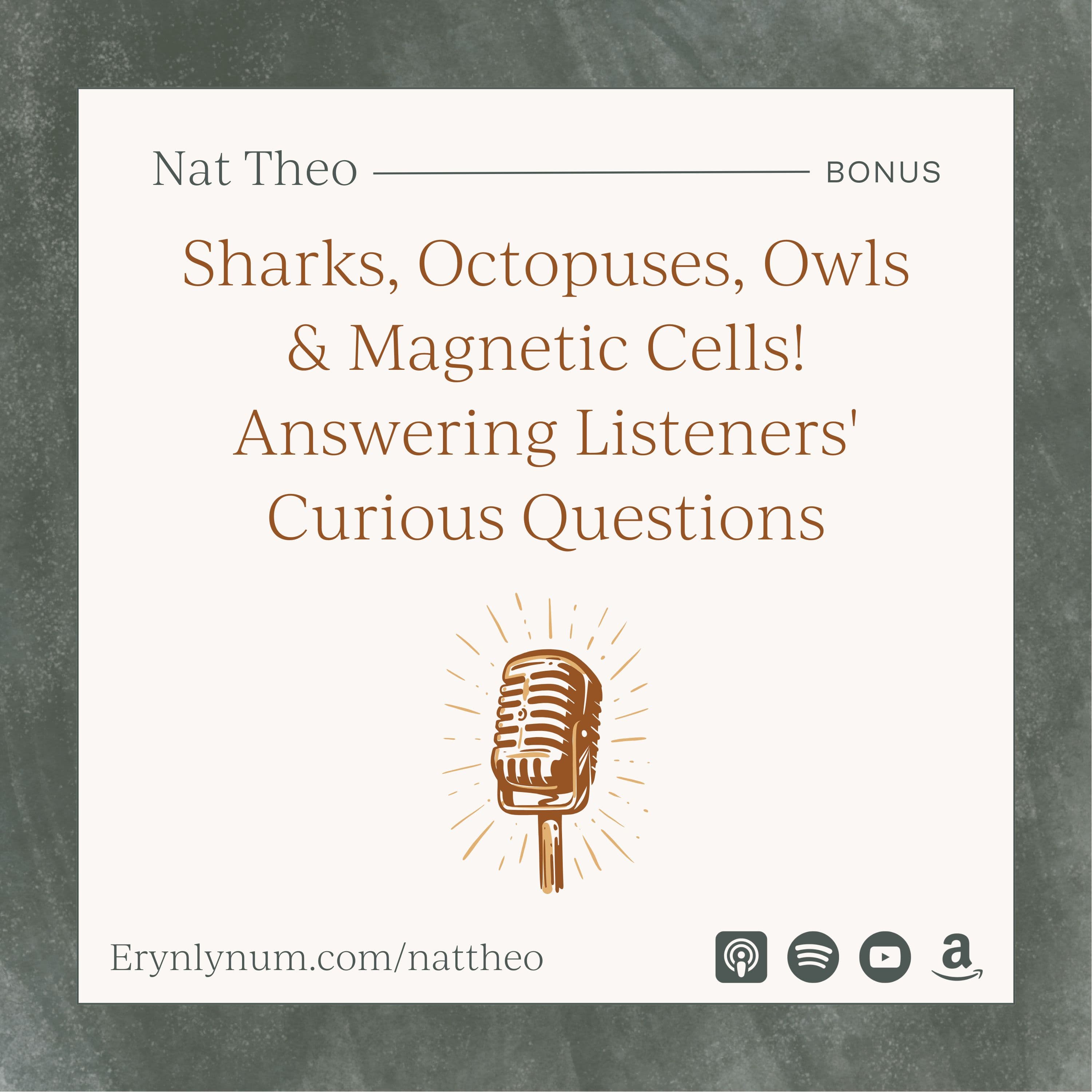 Sharks, Octopuses, Owls & Magnetic Cells! Answering Listeners' Curious Questions