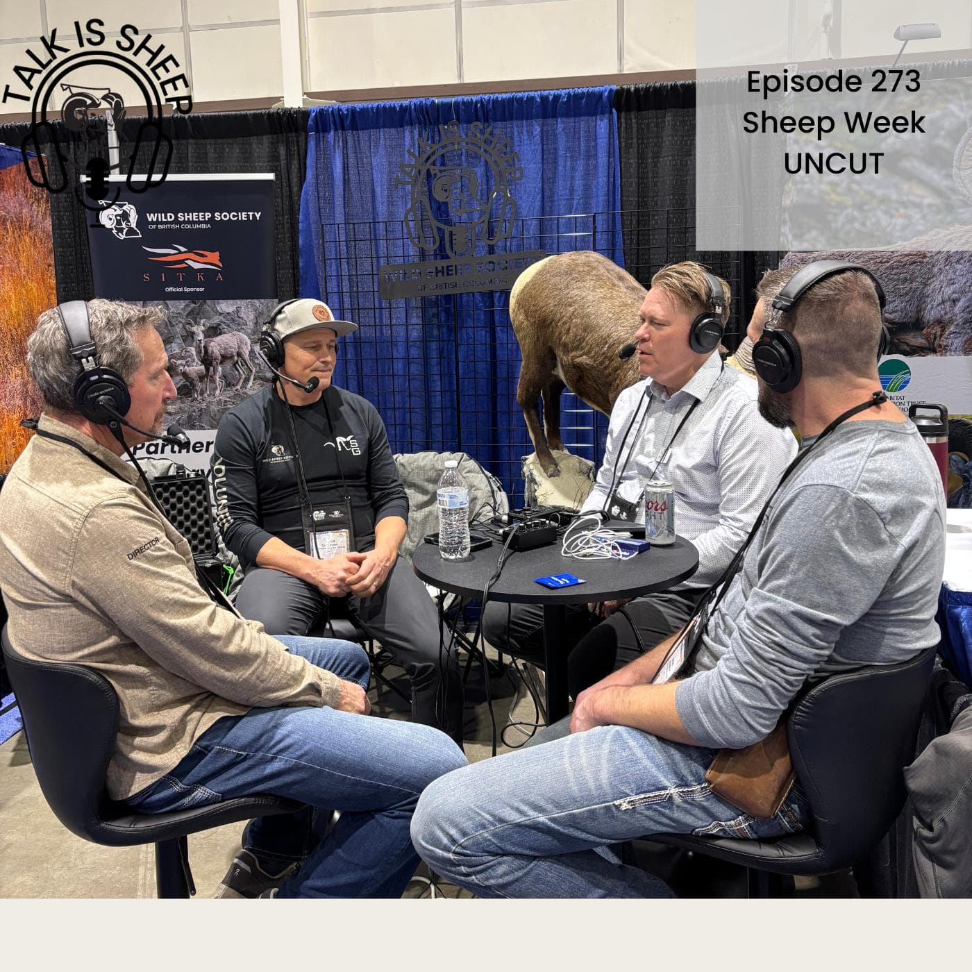Sheep Show Uncut